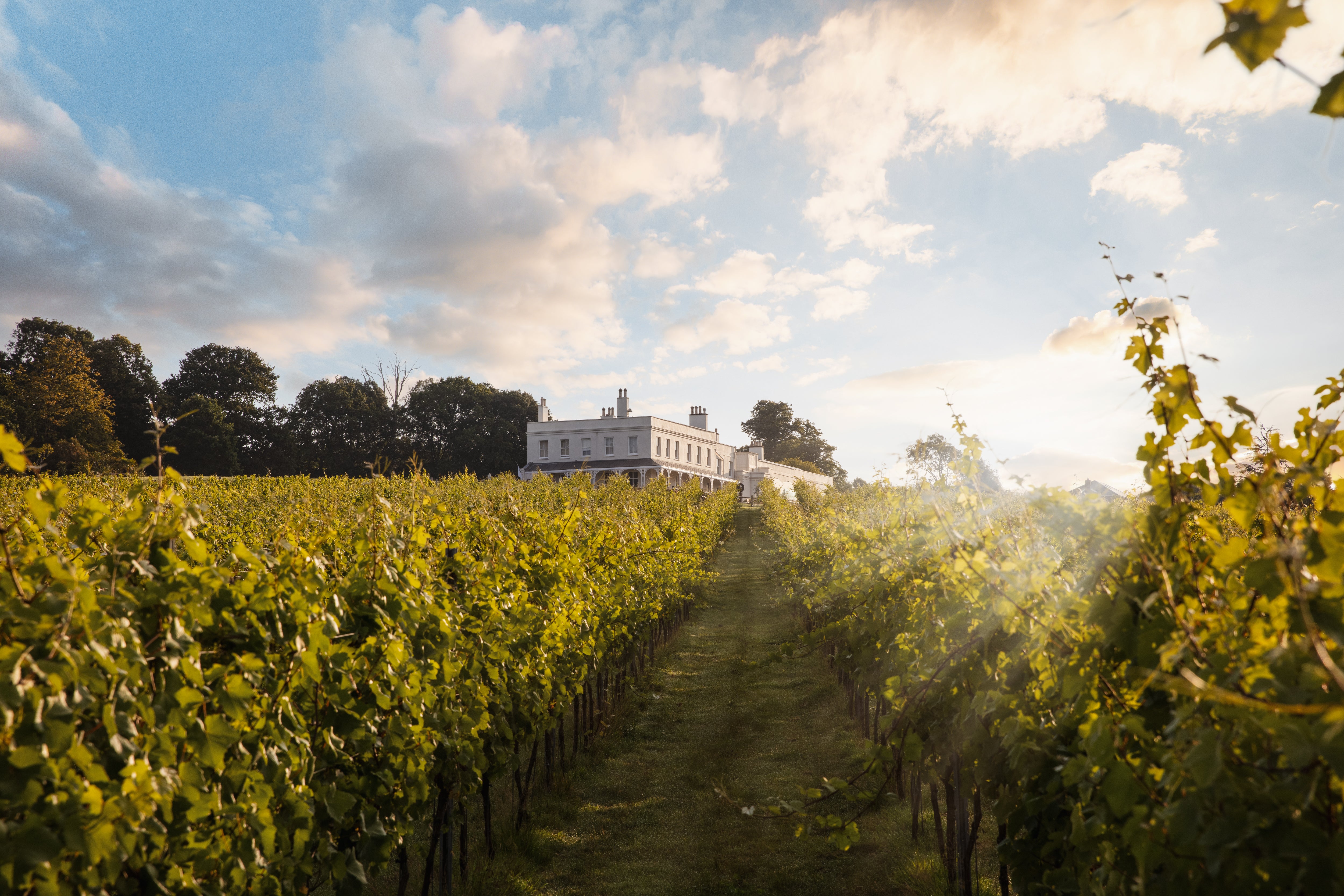 Sip and swirl a wine flight at Lympstone Manor