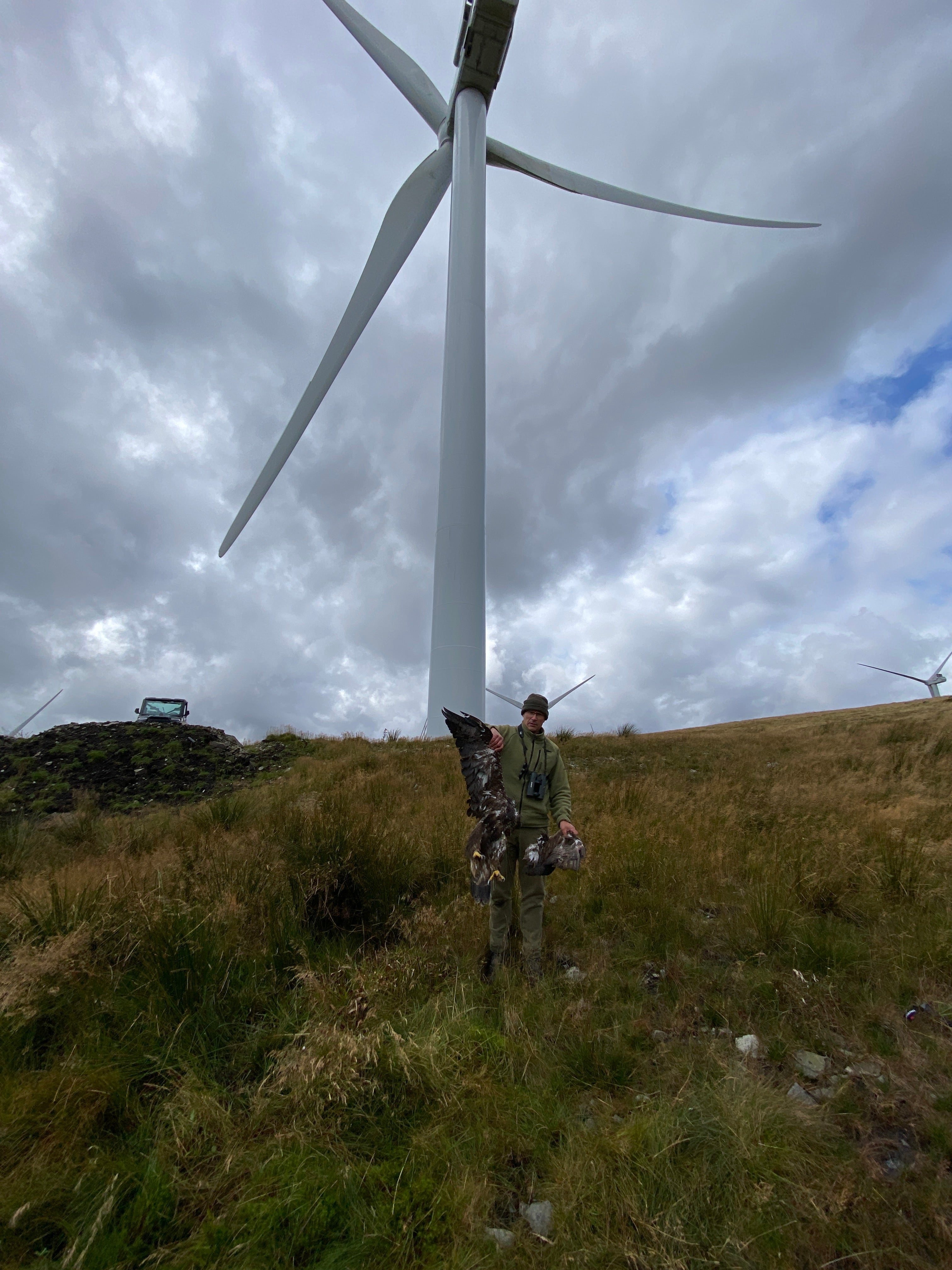 Sparky was found 15 metres from a turbine with his wing detached (South of Scotland Golden Eagle Project/PA)