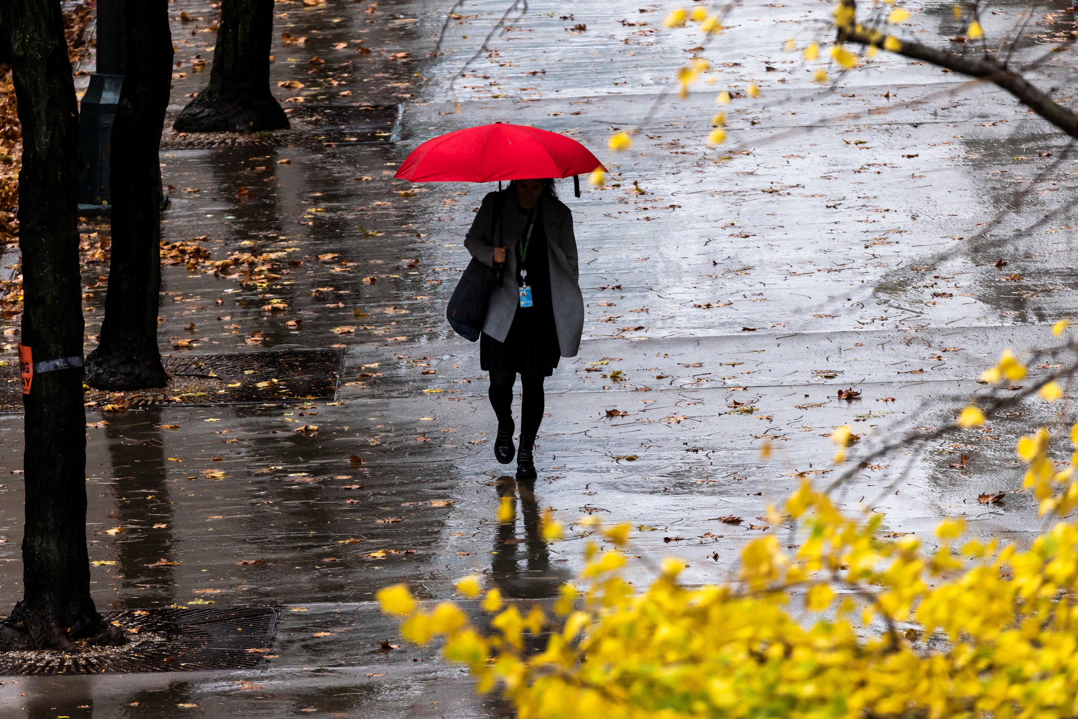 A woman uses an umbrella as she walks during a rainy day in New York City last week. The Northeast will see rain this Thanksgiving. A record 80 million travelers are expected this holiday at airports, on the road and using other modes of transportation