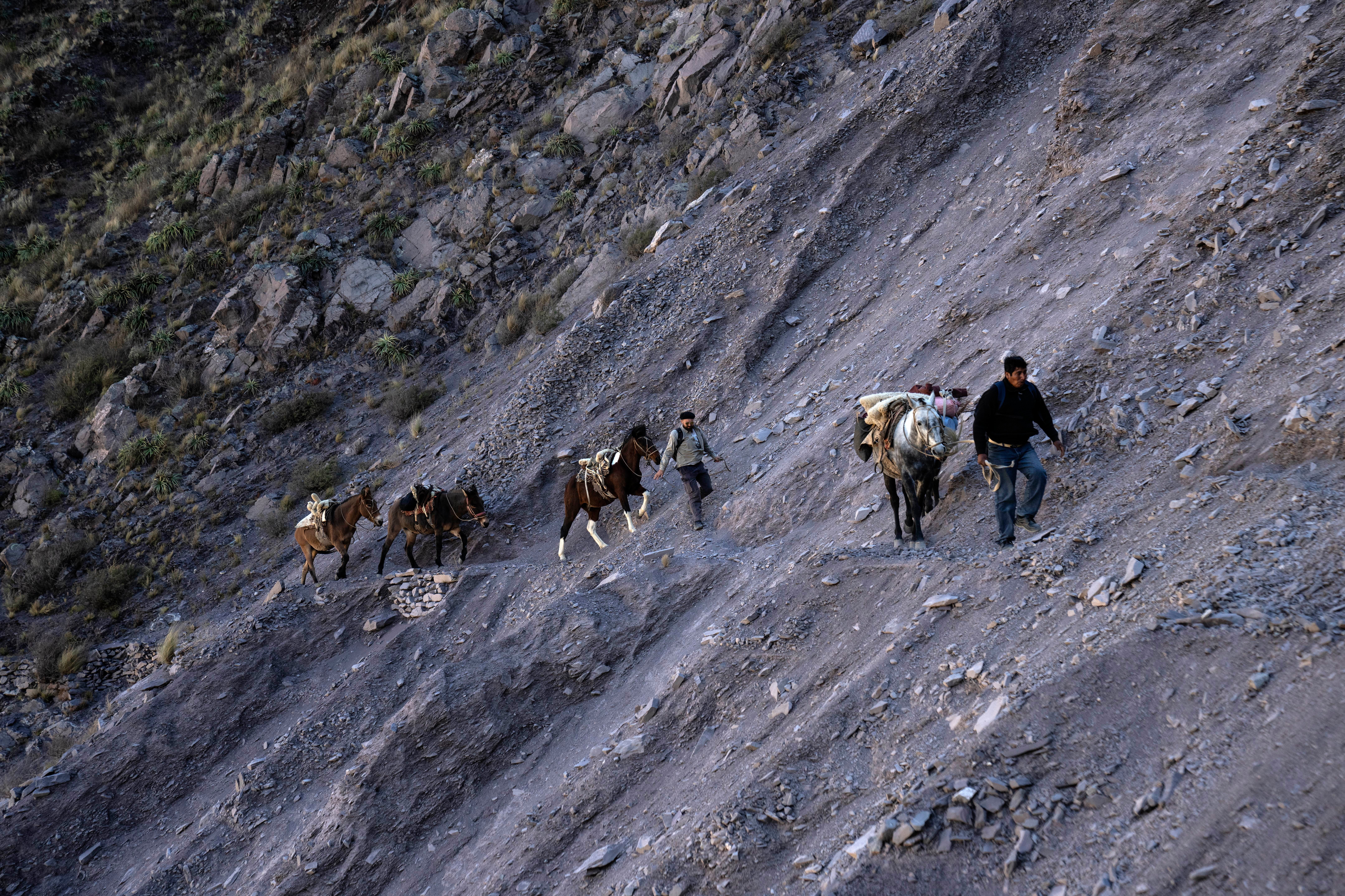 Public health agent Santos Ramos guides Dr. Jorge Fusaro and their rented mules, along a path of the Cerro Chañi