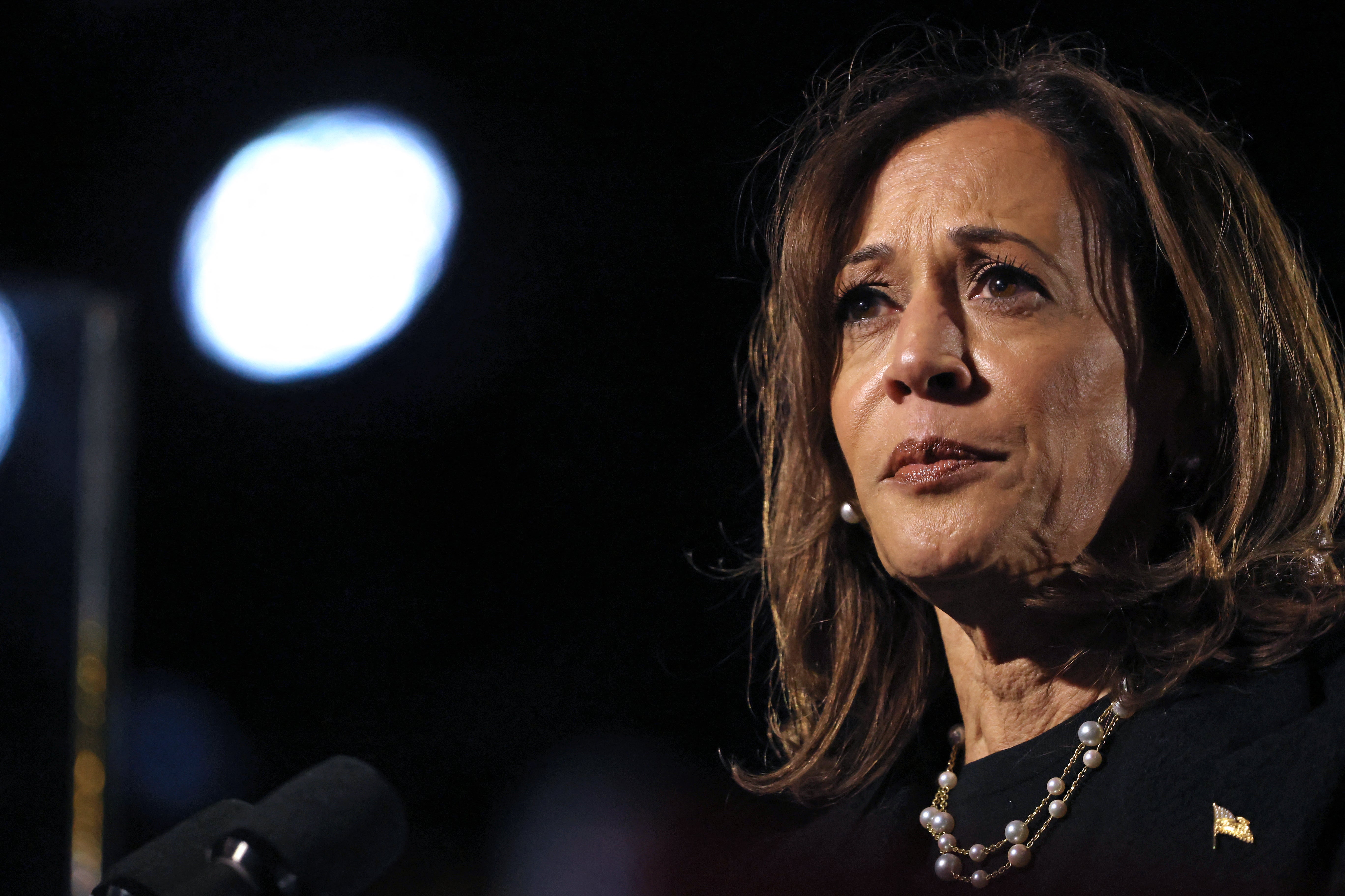 Though she lost the 2024 presidential election to Donald Trump, Vice President Kamala Harris was the strongest Democratic candidate to run, a new poll found