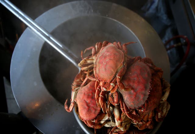 <p>Freshly cooked crab sits on a pot of boiling water</p>