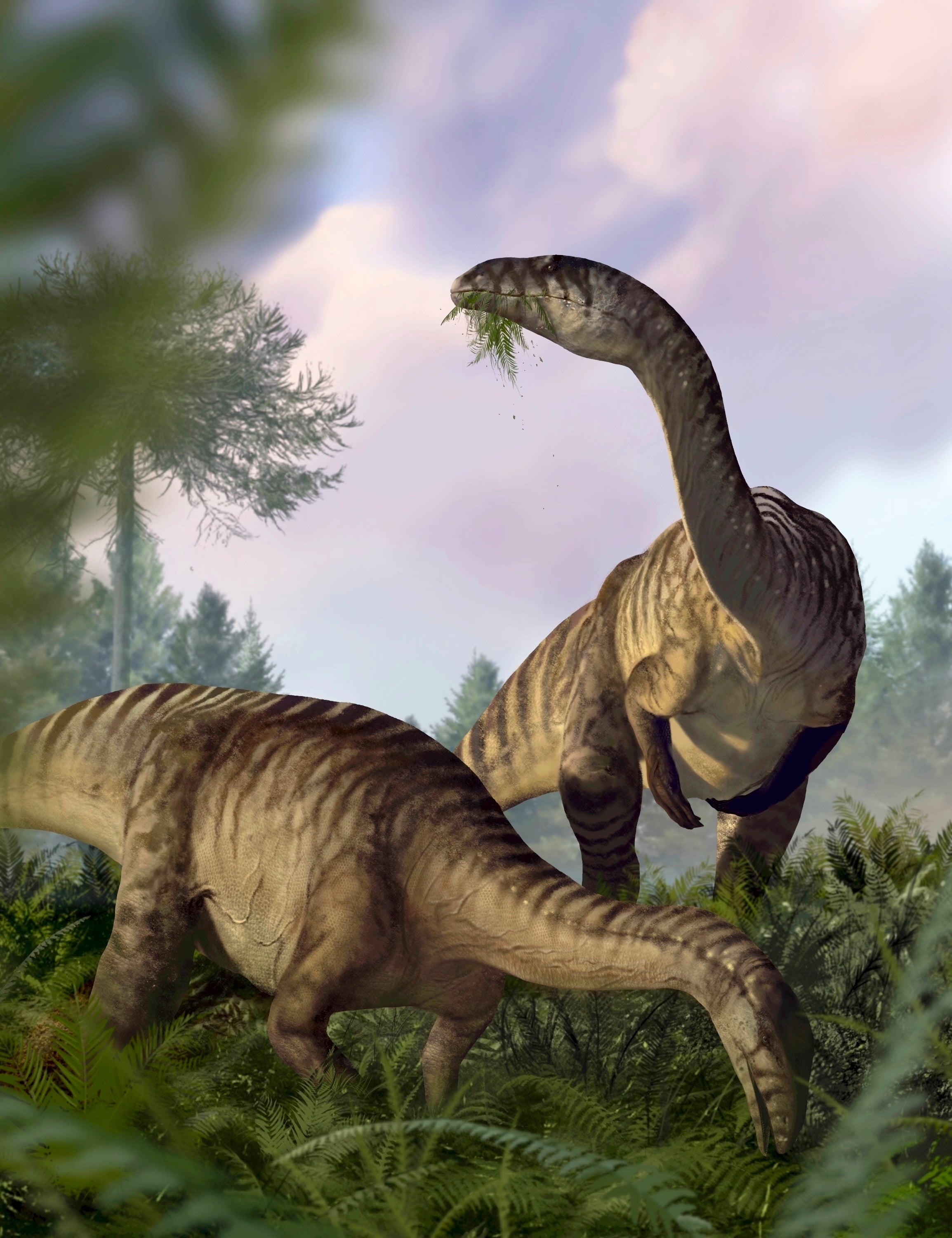 This illustration provided by Marcin Ambrozik shows plant-eating dinosaurs in Poland during the Early Jurassic period