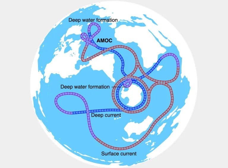 A map shows the global thermohaline circulation on Earth. The AMOC is in the upper-left corner