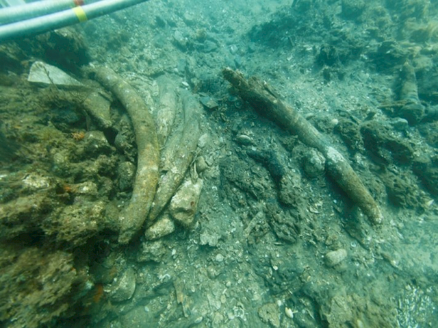 <p>Remains of sunken ship that may have been part of Vasco da Gama’s last voyage</p>