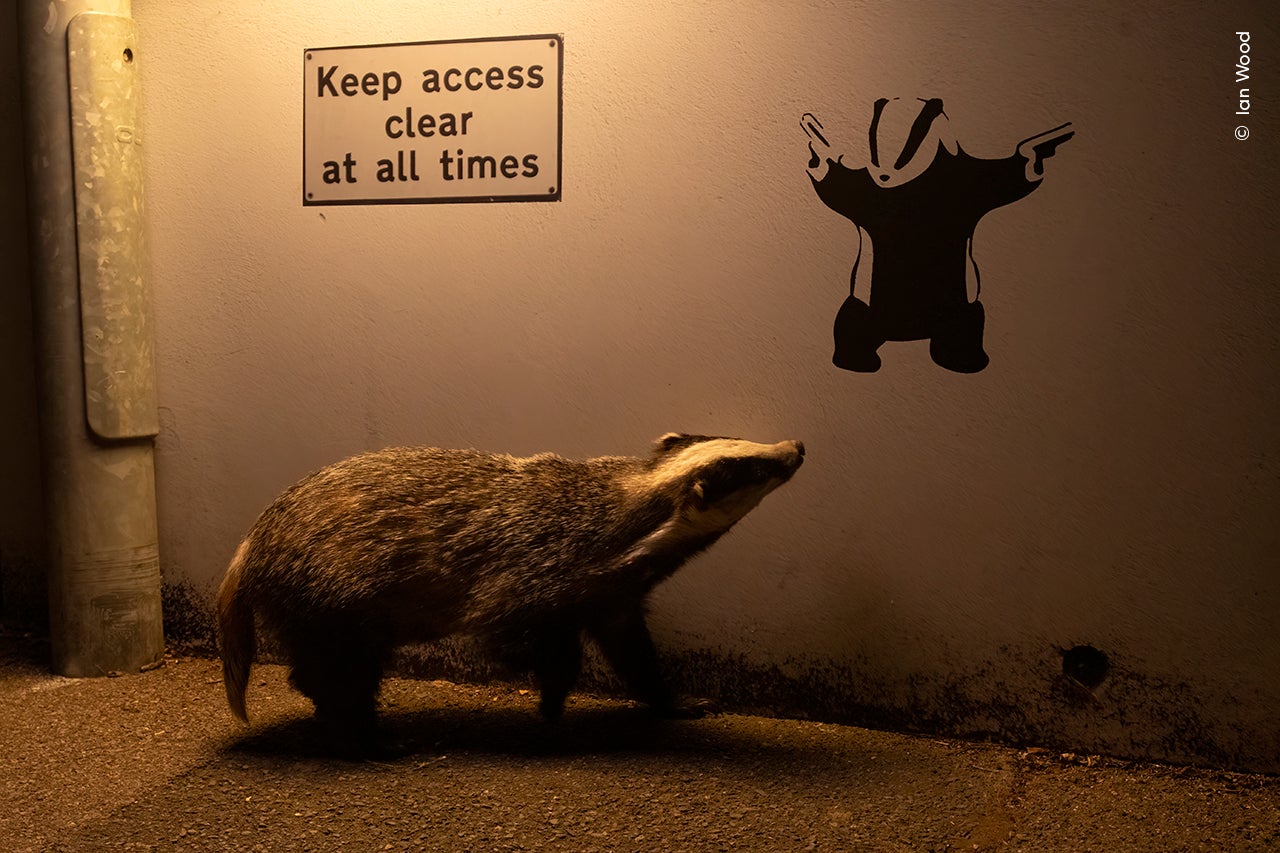 No Access by Ian Wood (UK)