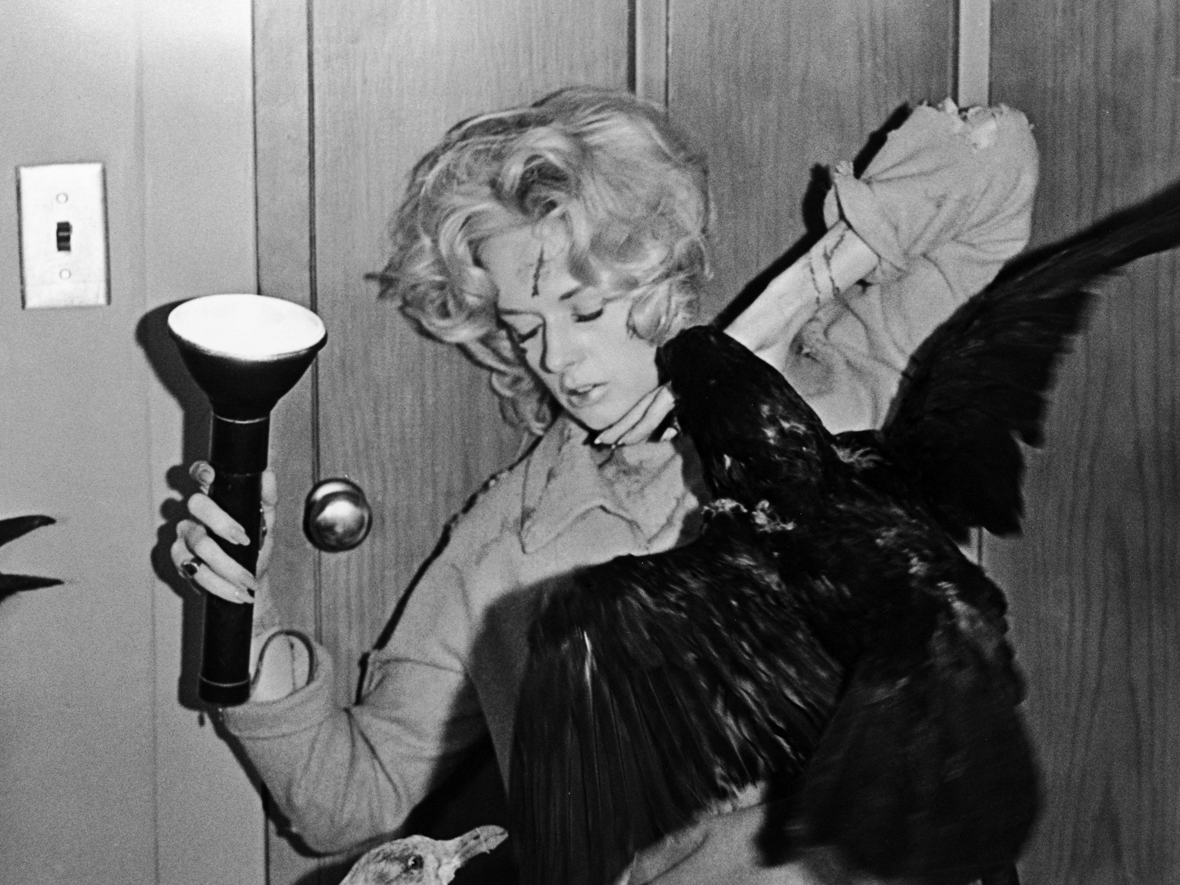 Avian nightmare: Tippi Hedren in ‘The Birds’