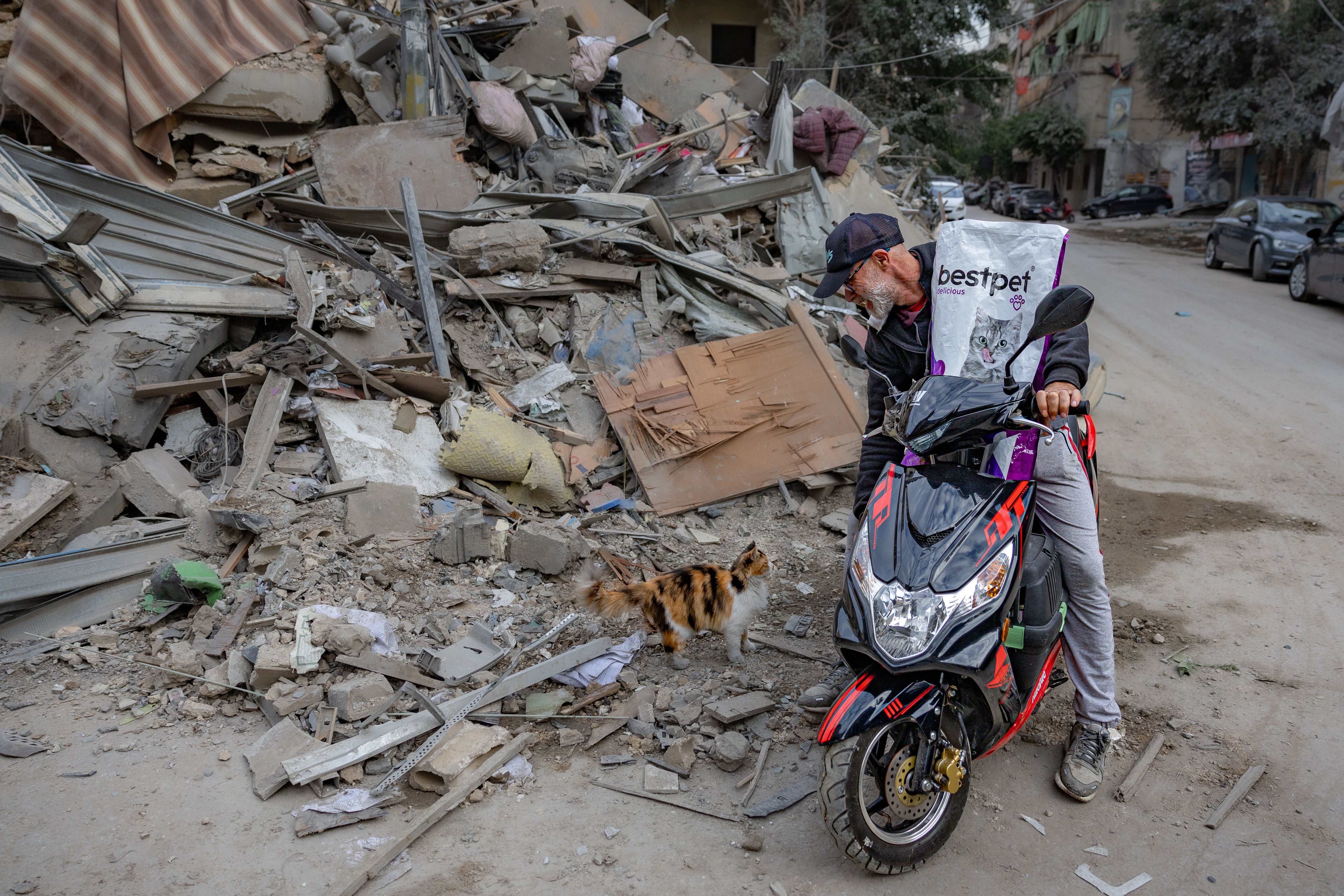 Imad Shami, 60, feeds one of the cats in his neighbourhood