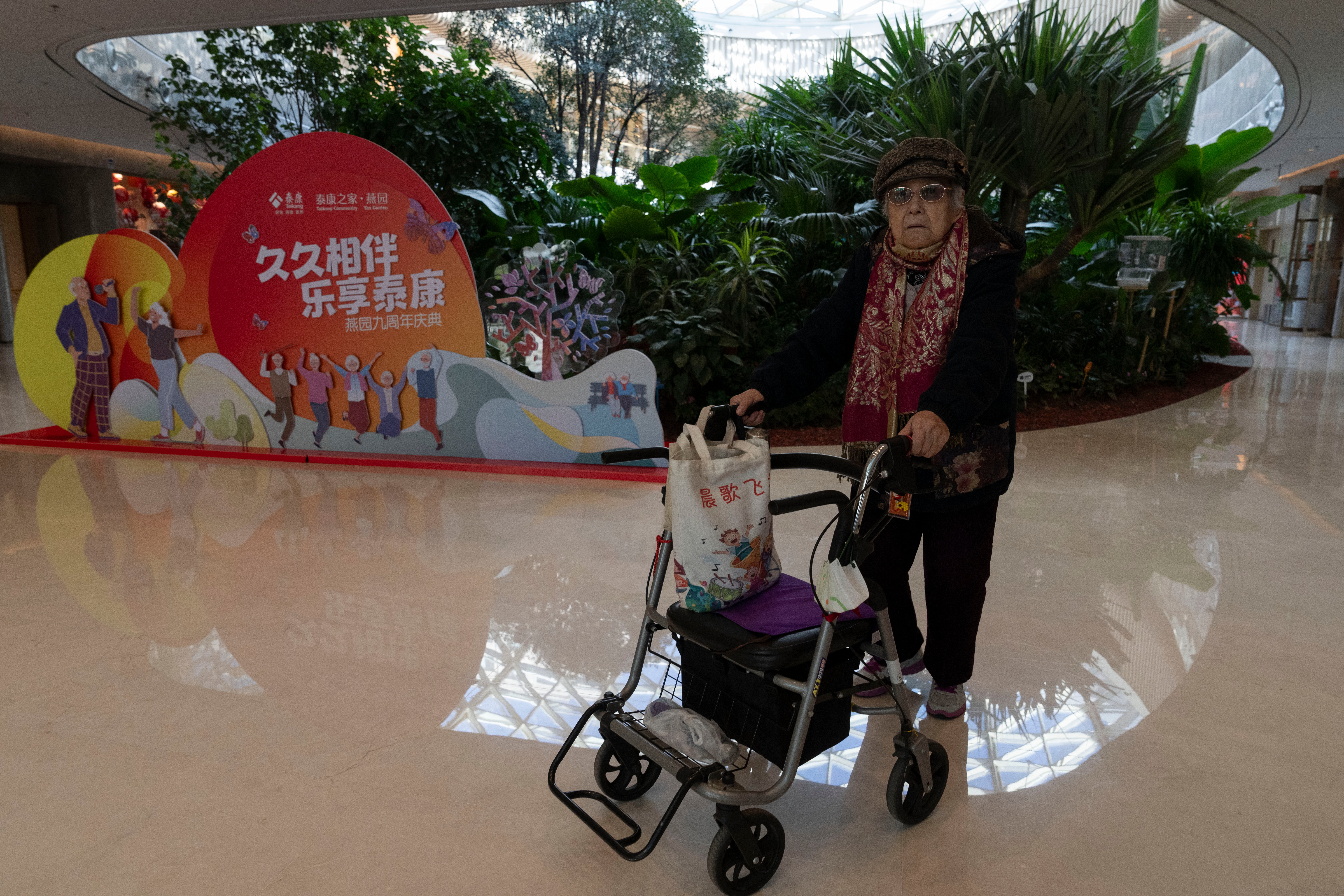 China Silver Economy