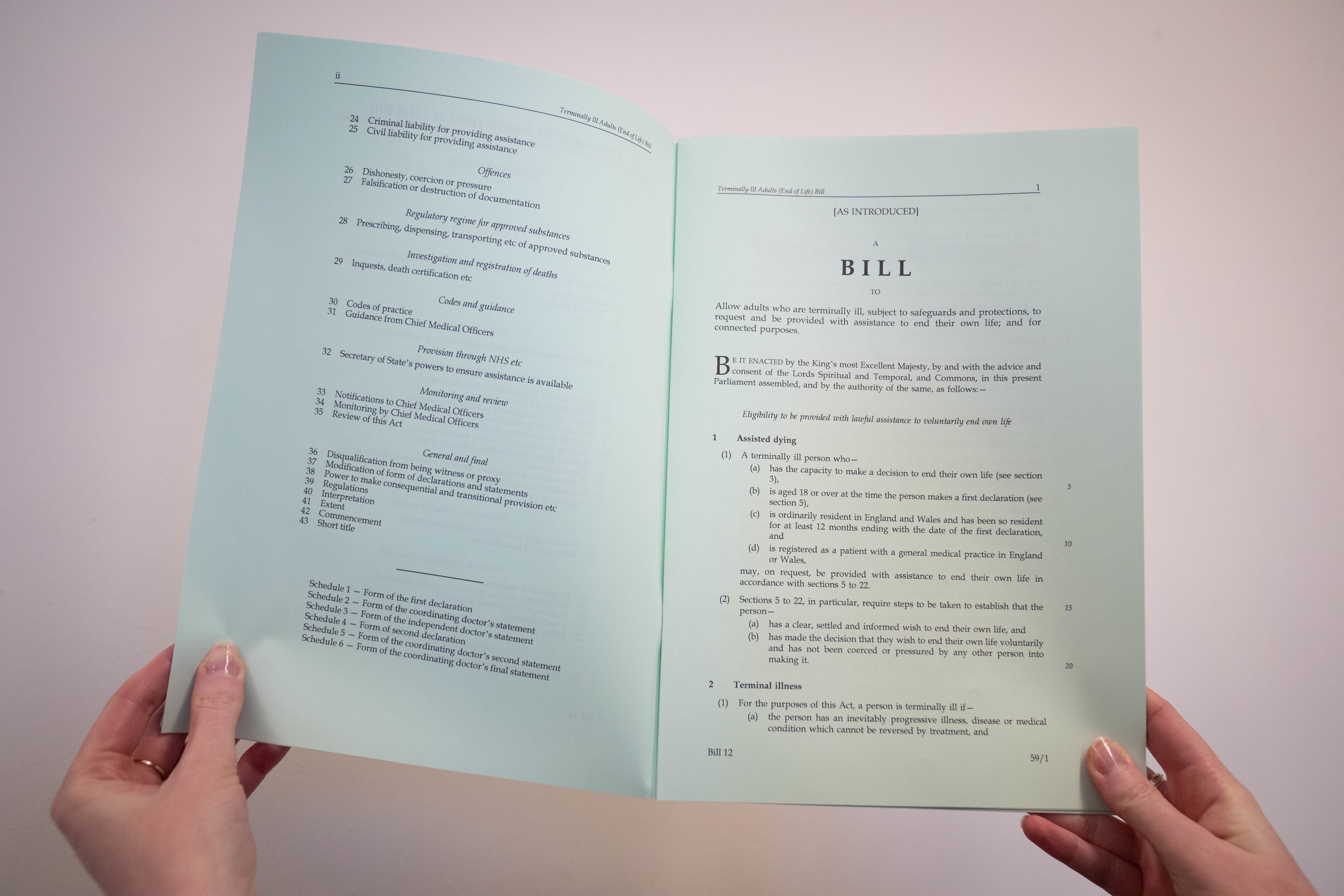 Ms Leadbeater argued that her legislation would feature the ‘strictest protections’ of any similar bill in the world