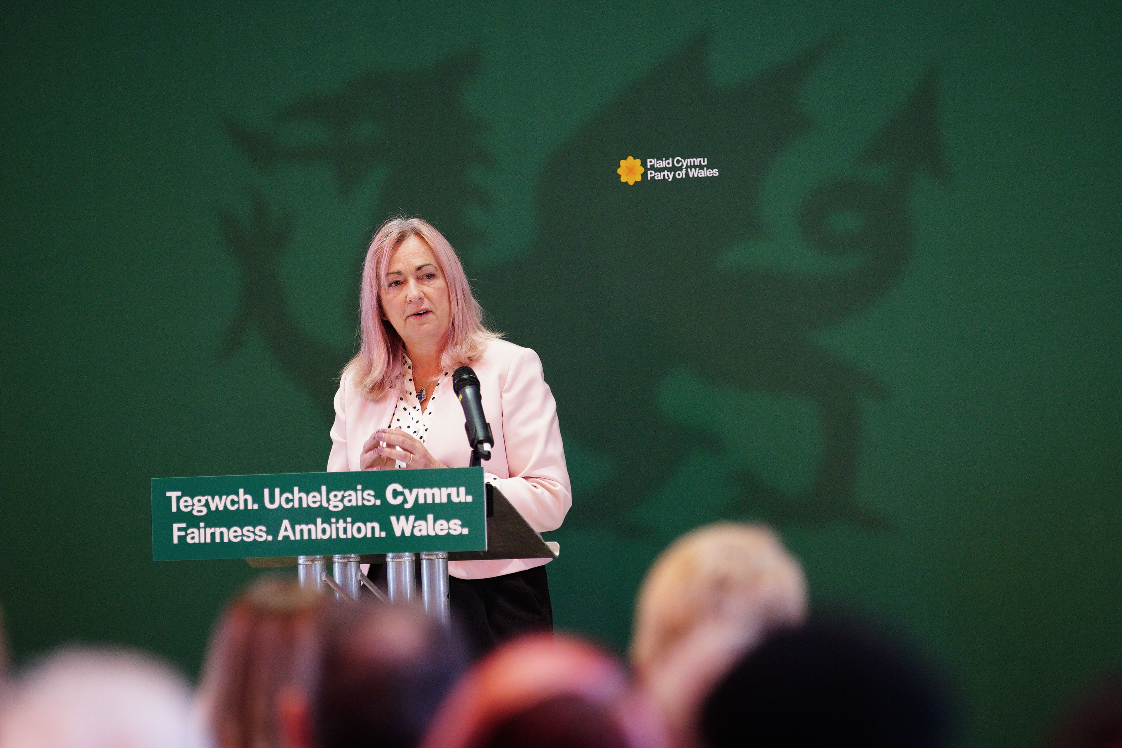 Liz Saville Roberts, Plaid Cymru Westminster leader and MP for Dwyfor Meirionnydd (Ben Birchall/PA)