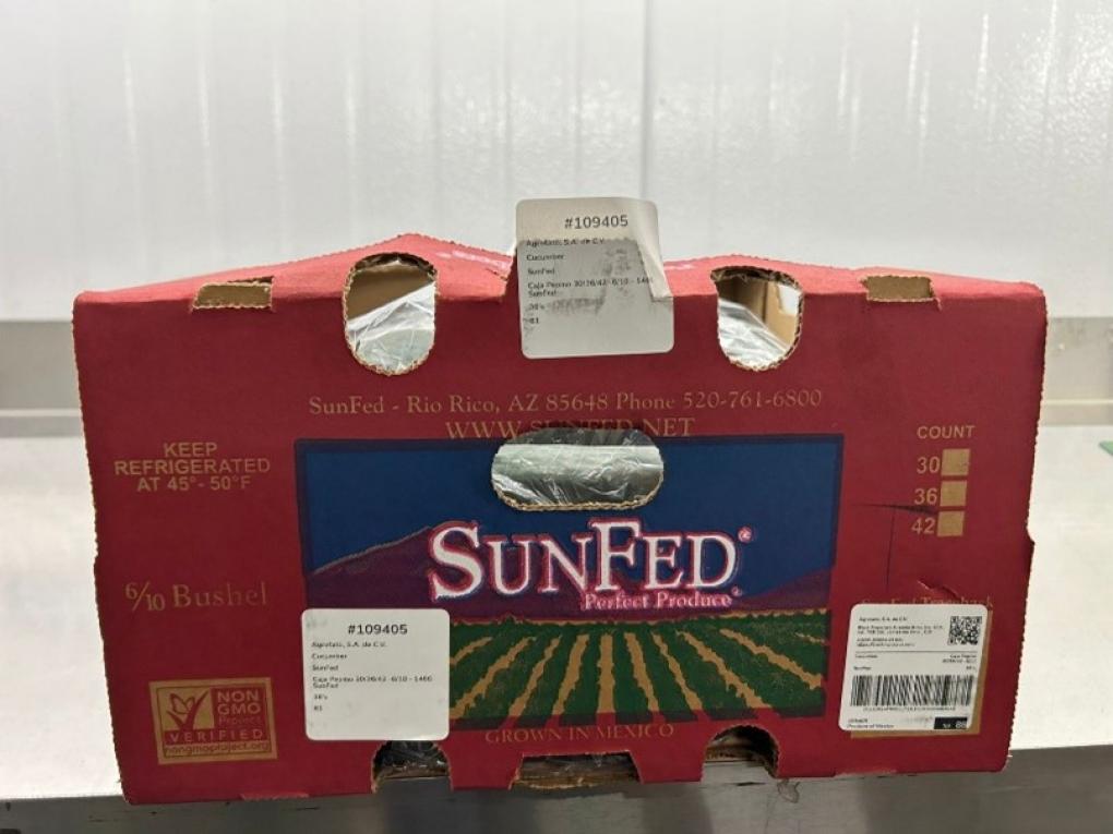 SunFed president Craig Slate confirmed the recall was initiated after the FDA linked the cucumbers to an unspecified number of illnesses