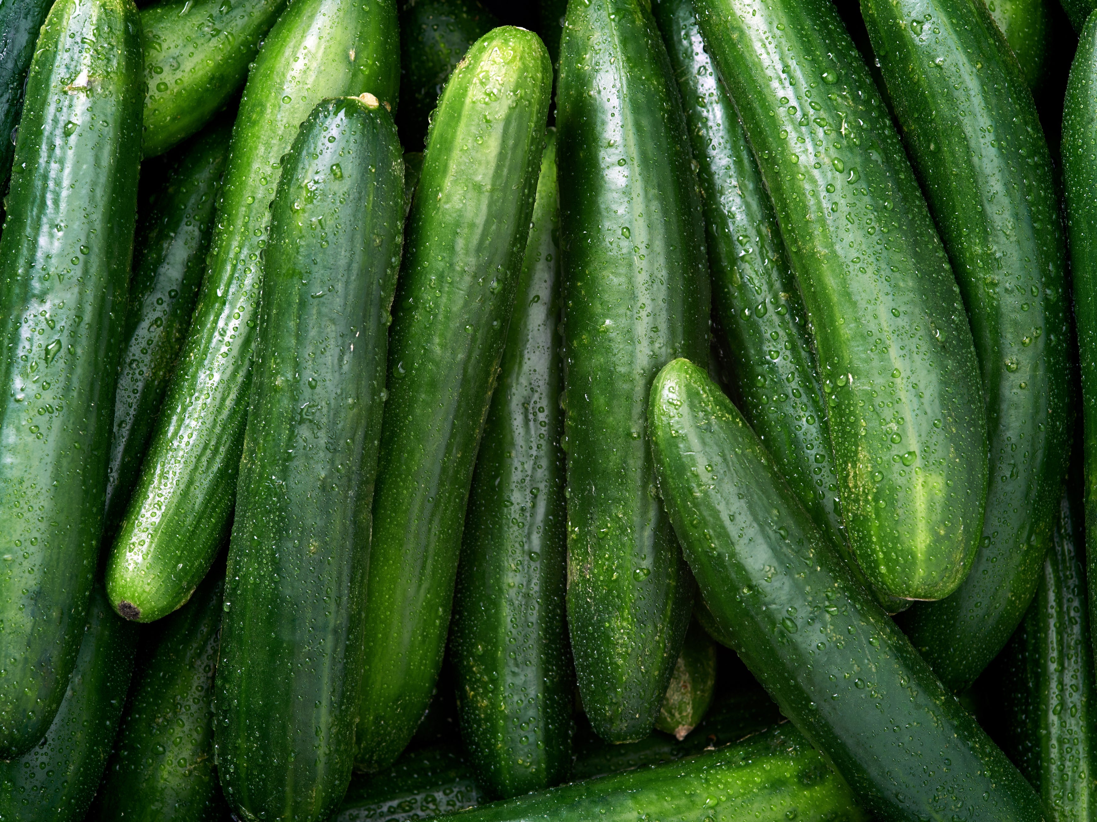 FDA issues recall of SunFed cucumbers across North America due to salmonella contamination