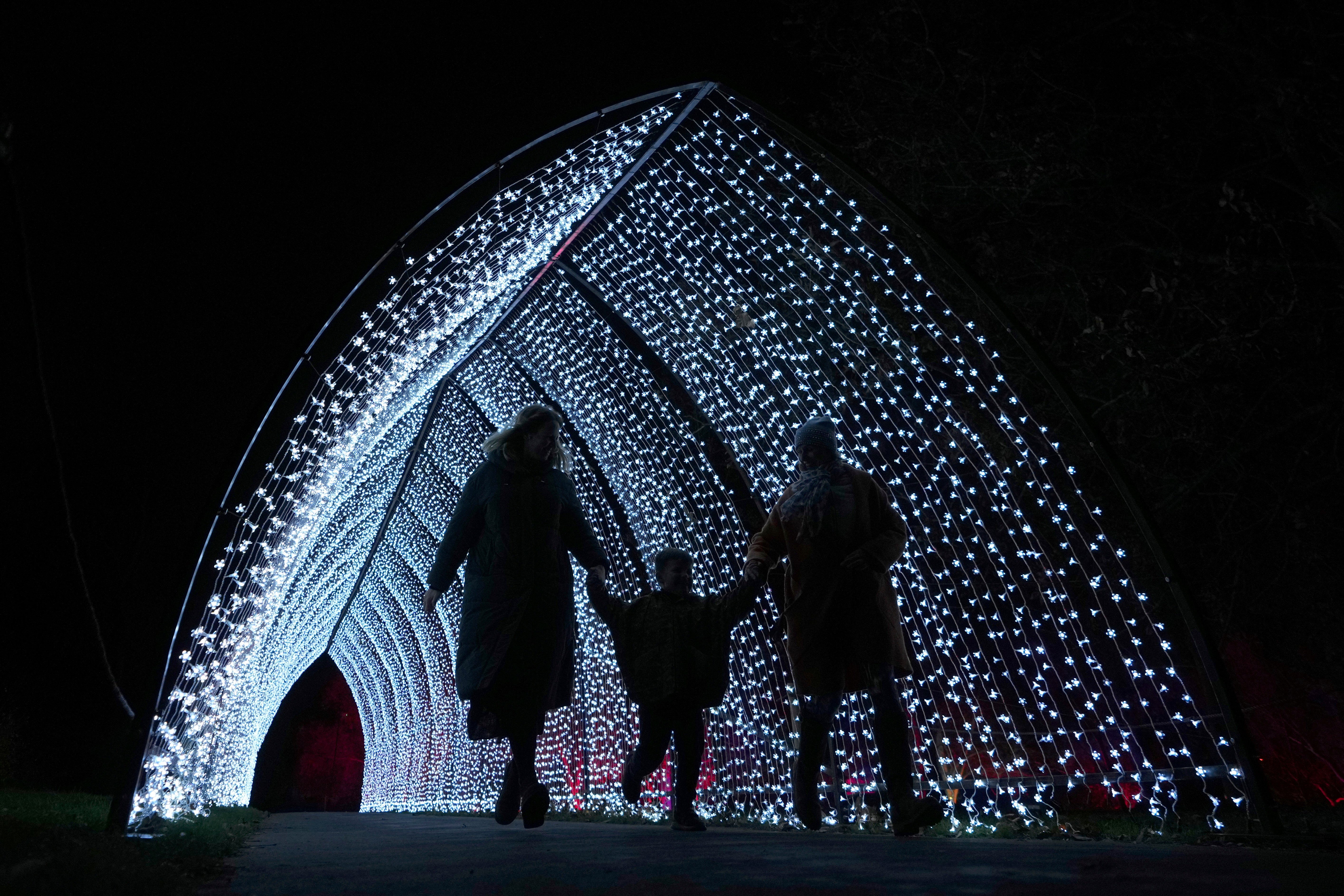 AP Top Photos of the Month November 2024