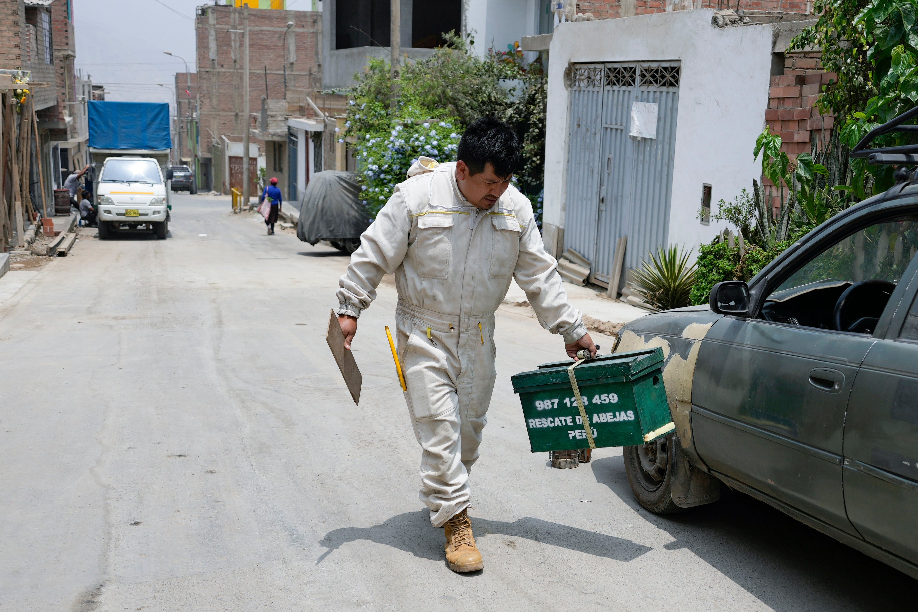 Peru Bee Rescuer