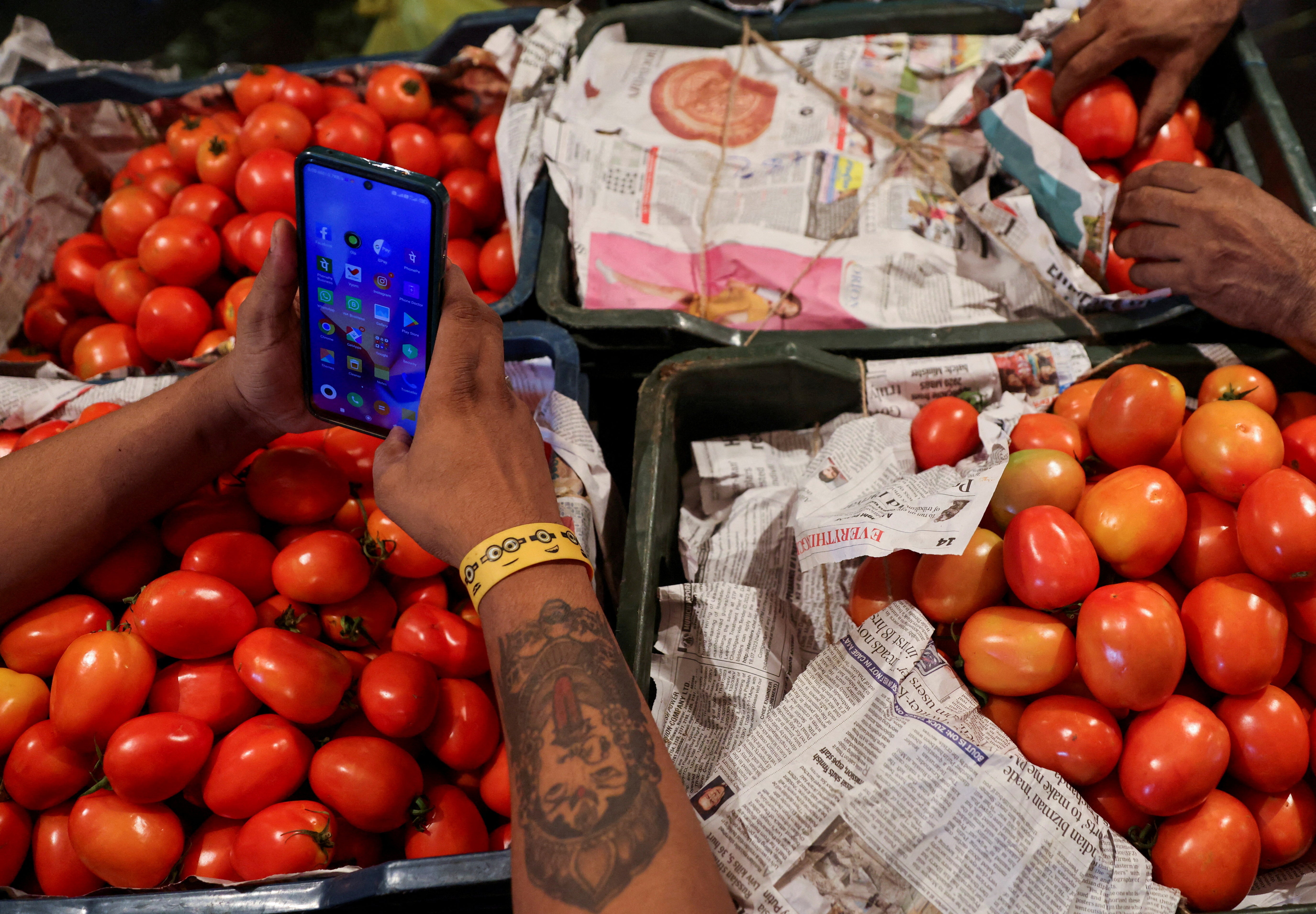 Representative. Tomatoes at a vegetable wholesale market