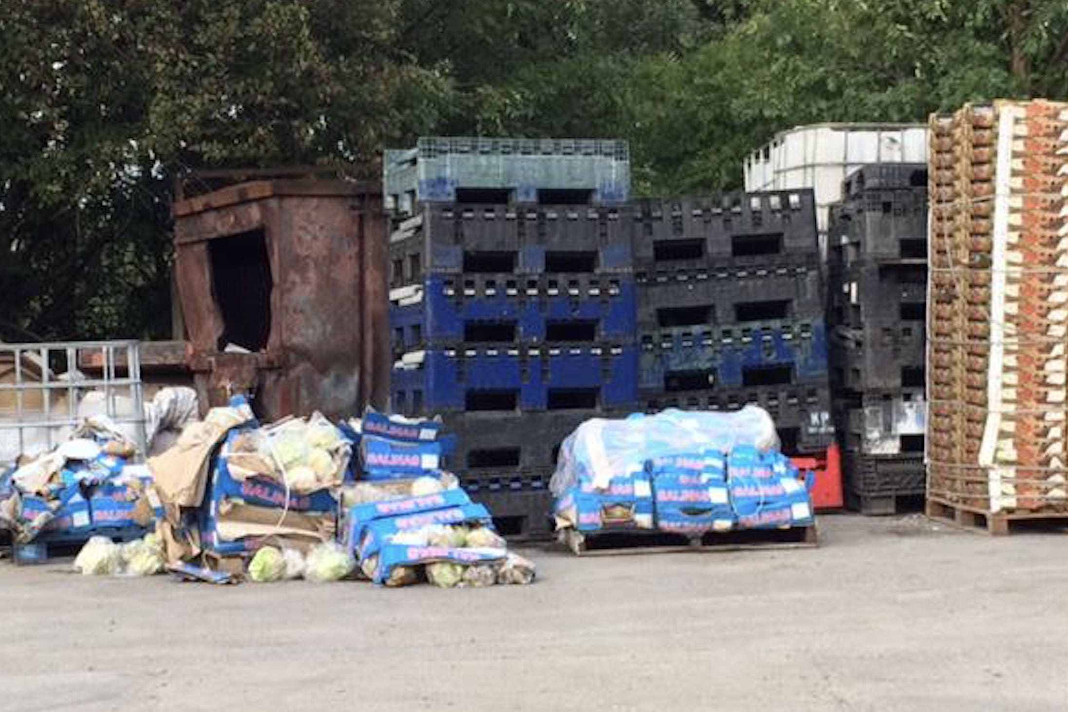 Rotting vegetables that a gang used to help smuggle drugs (National Crime Agency/PA)