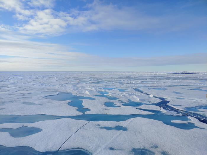 Sea ice is scattered throughout the Arctic ocean. Arctic sea ice is melting at an unprecedented rate. Researchers say that its first ‘ice-free’ day could be coming sooner than many might think