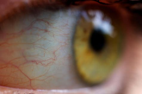 <p>Scientists claim to have discovered a new color, "olo”</p>