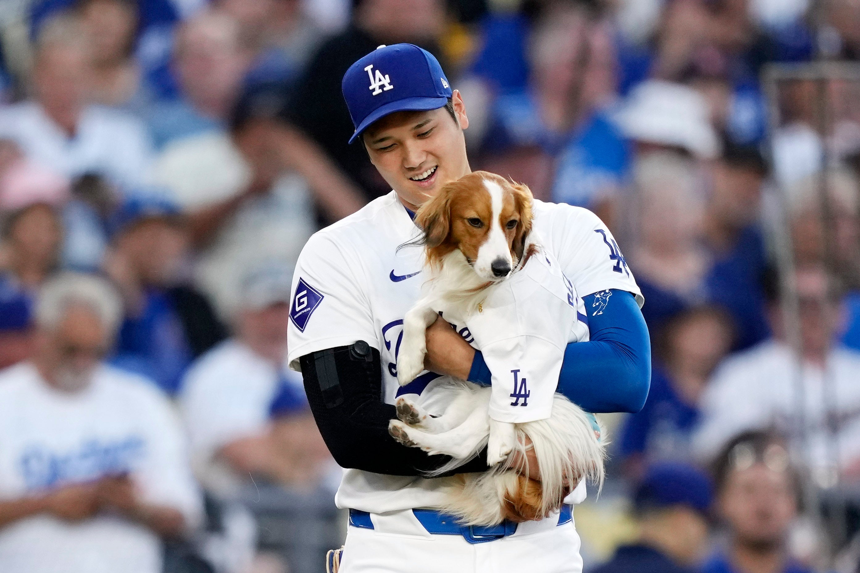 Los Angeles Dodgers’ Shohei Ohtani brings his dog Decoy to mound