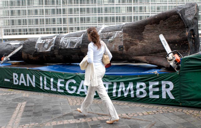 <p>‘The lessons learned this year need to be that instead of big global pledges, we need to work with those living in and around these incredible ecosystems and give them real opportunities to make a living protecting them’</p>