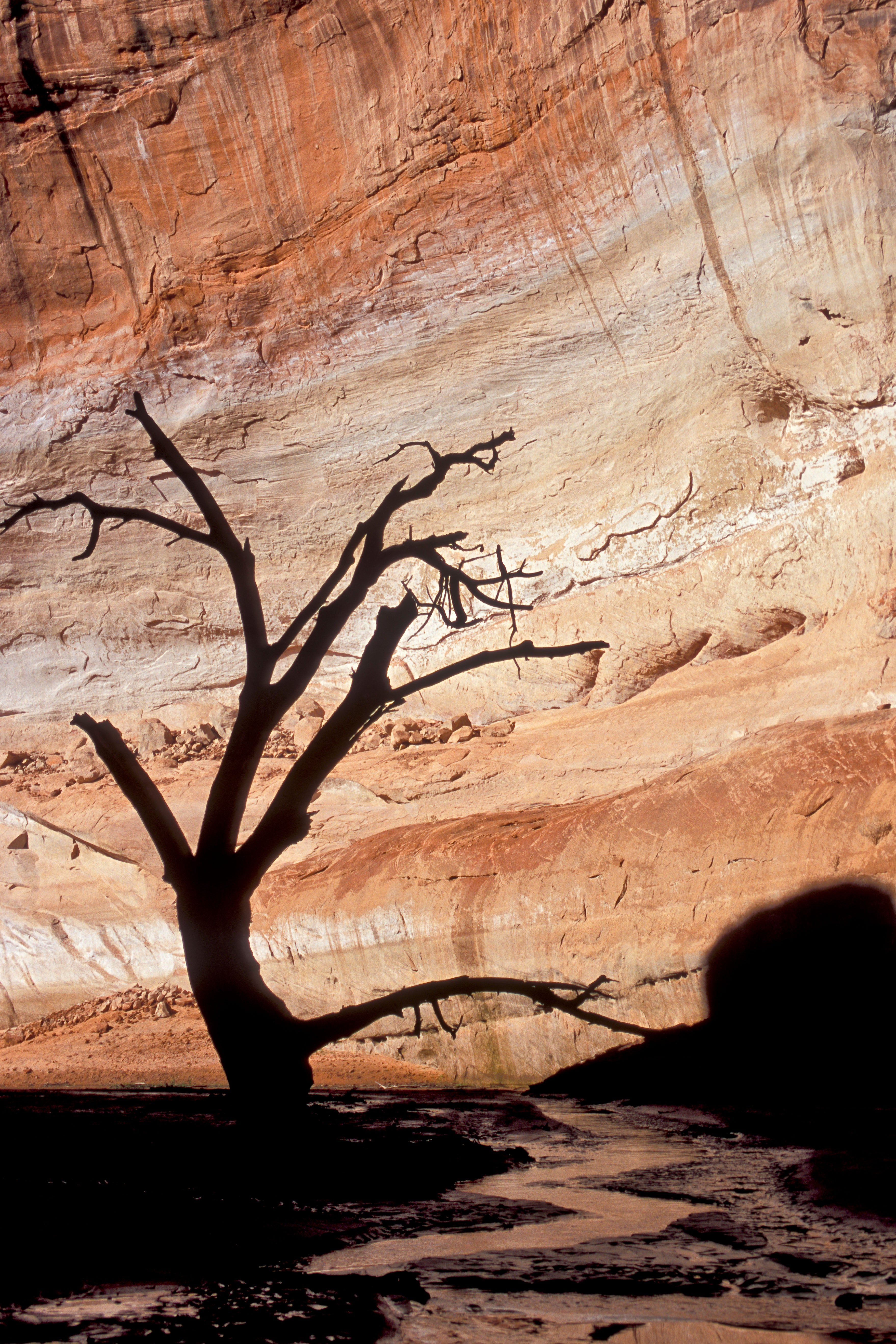 The shade evokes natural colours of the earth (Alamy/PA)