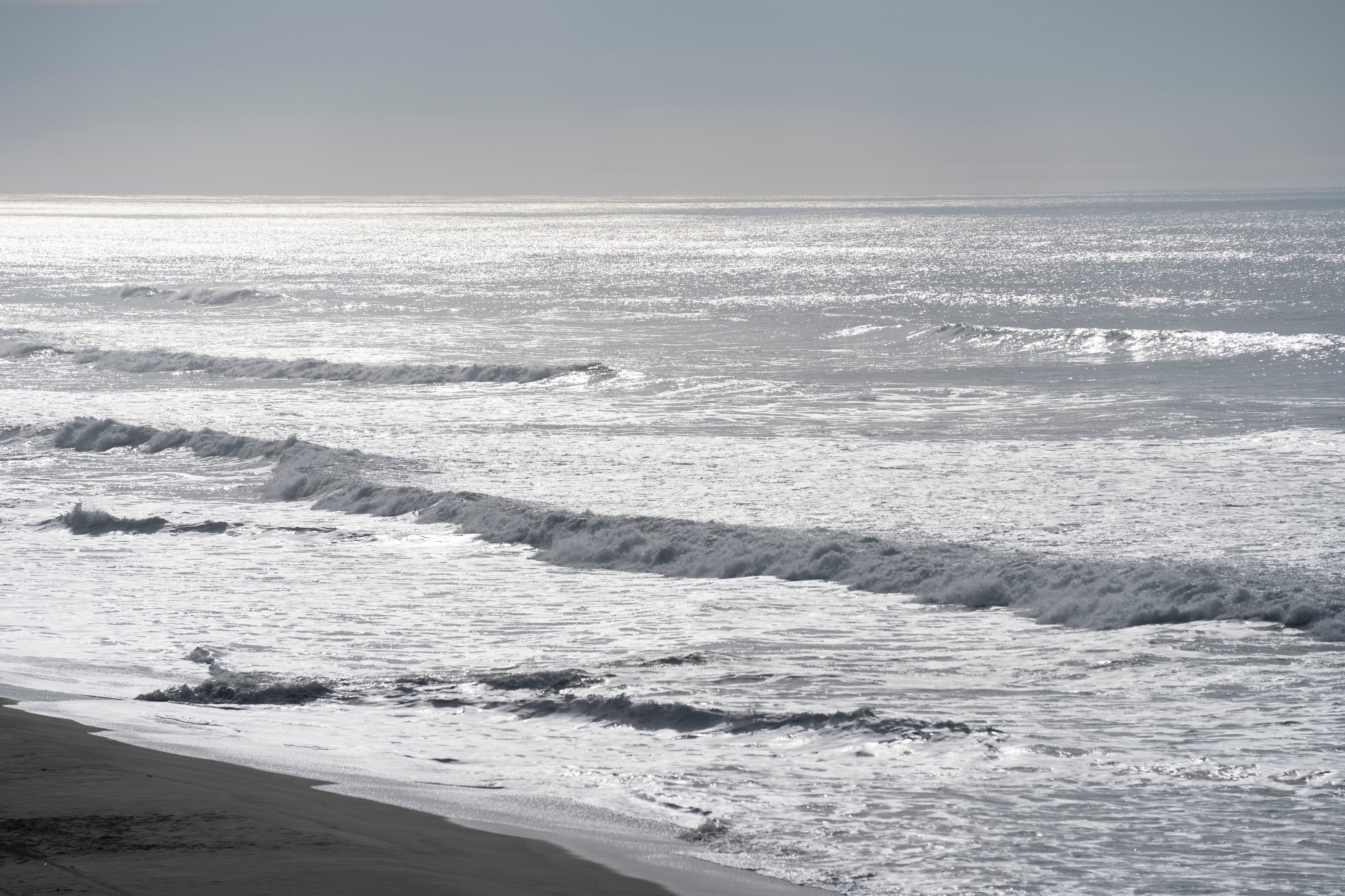Tsunami Warning in Bay Area