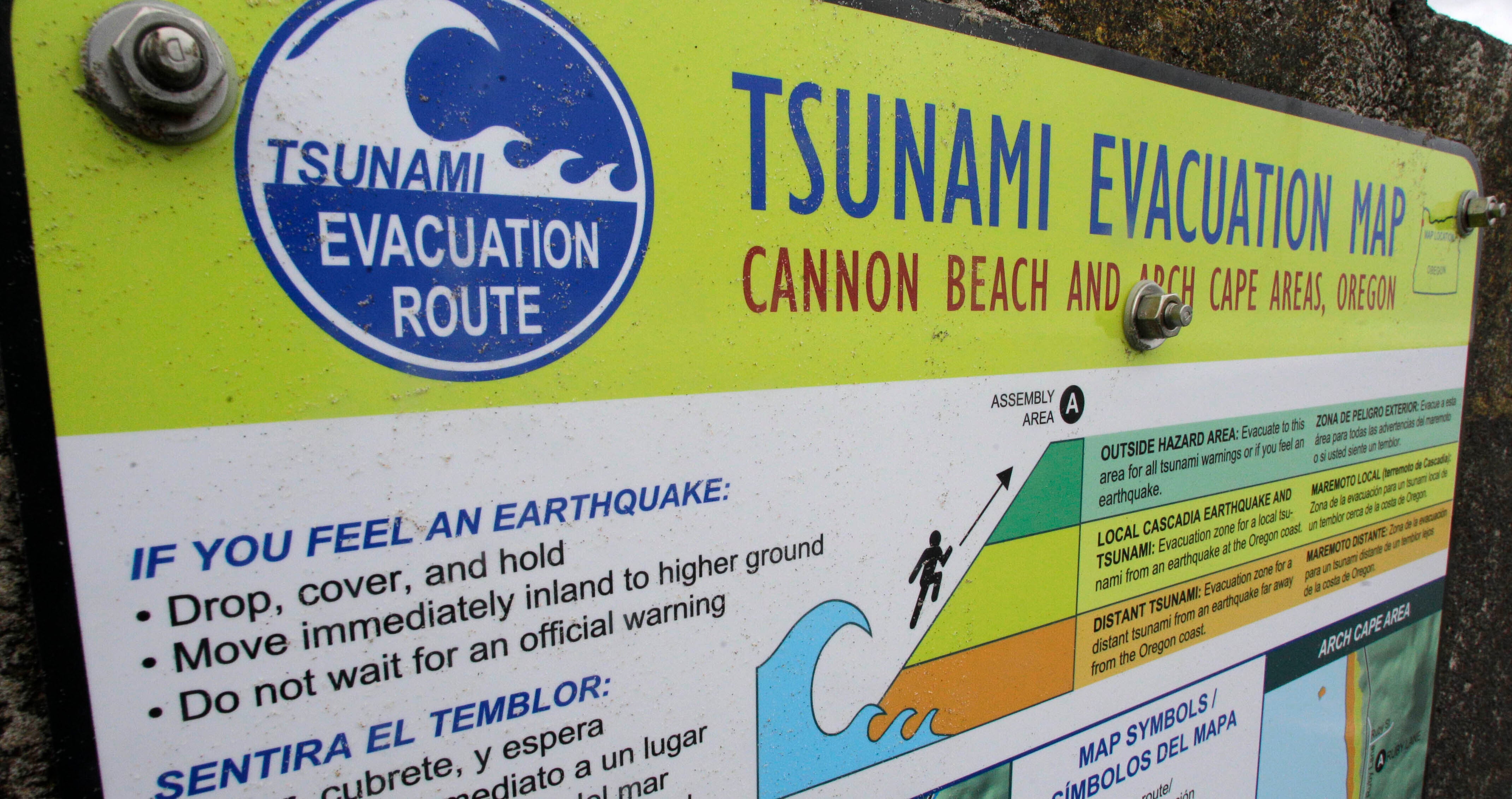 Tsunamis What to Know