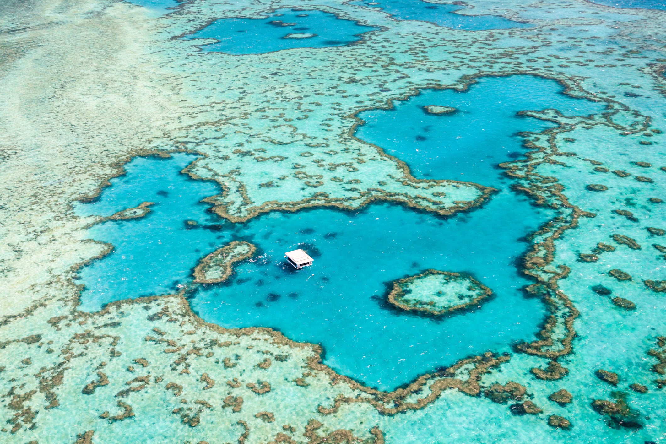 As well as providing a home for marine life, the Great Barrier Reef is also a major site of scientific research