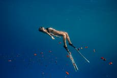 Forget cold water swimming – freediving is what people are doing now for their mental health