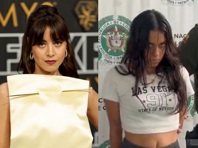 Aubrey Plaza fans urge actor to portray Colombian hitwoman ‘The Doll’ after pointing out resemblance