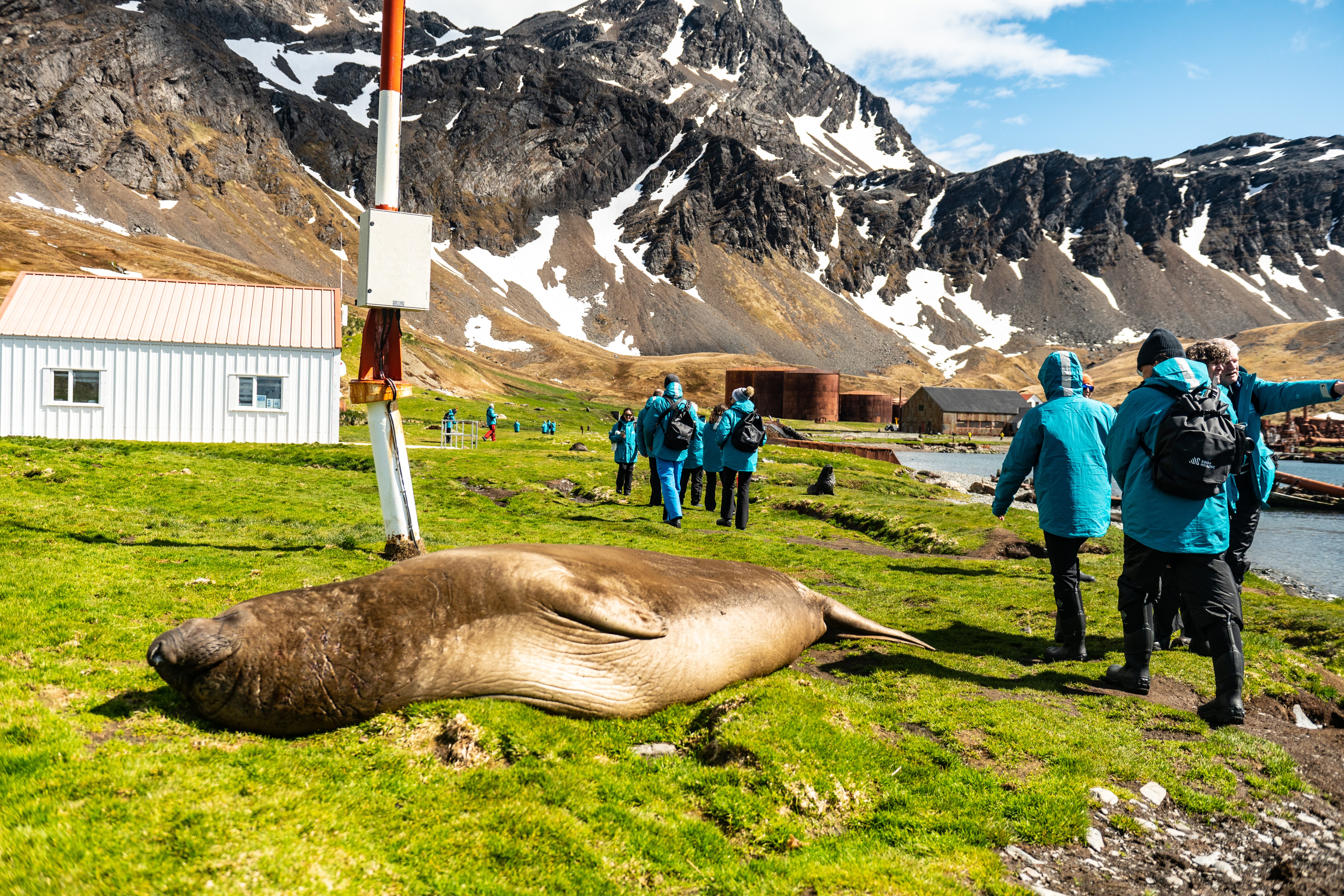 While they did not make it to Antarctica, passengers witnessed wonderful wildlife along the way