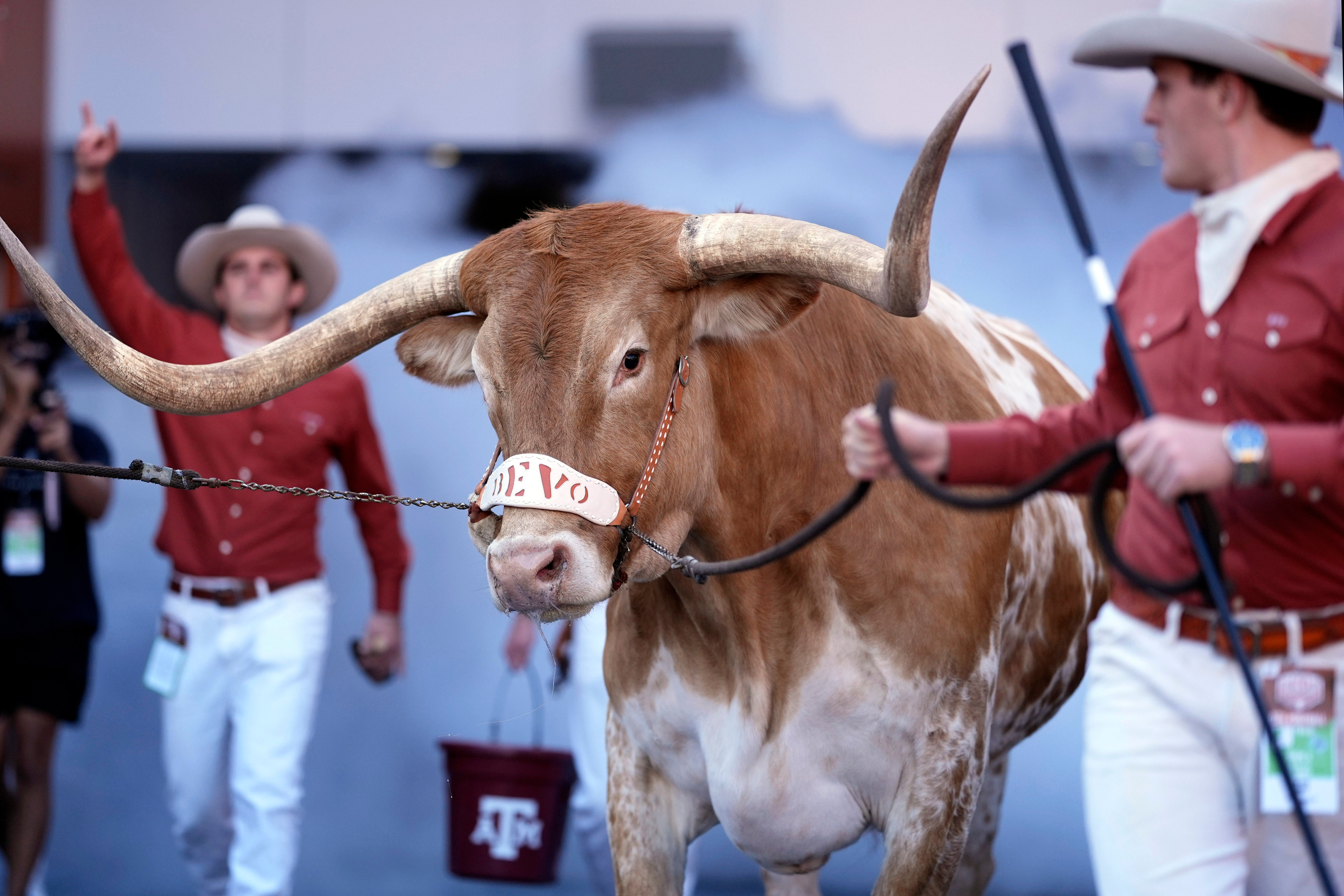 Texas Texas A M Rivalry Reborn Football