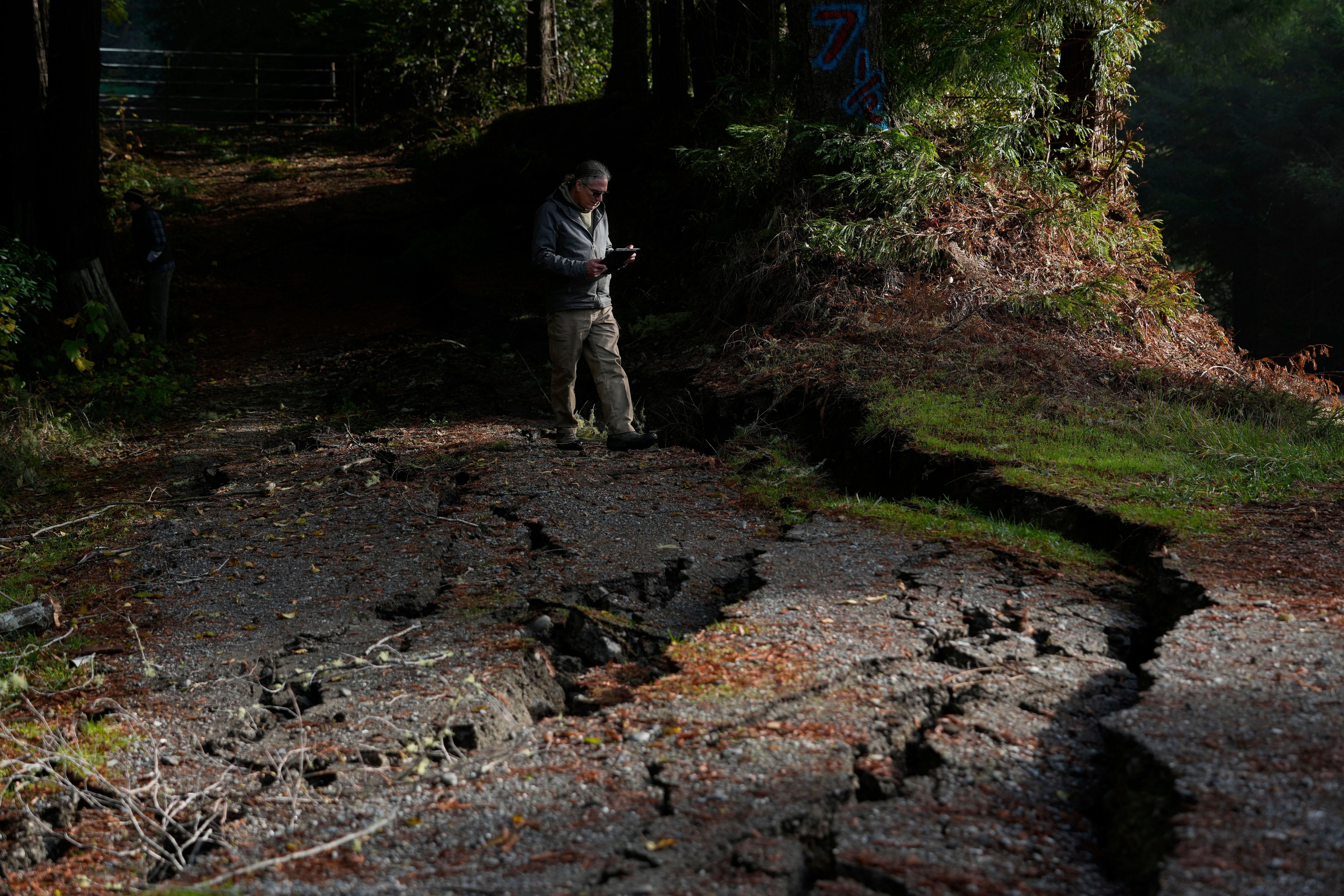 California Earthquake