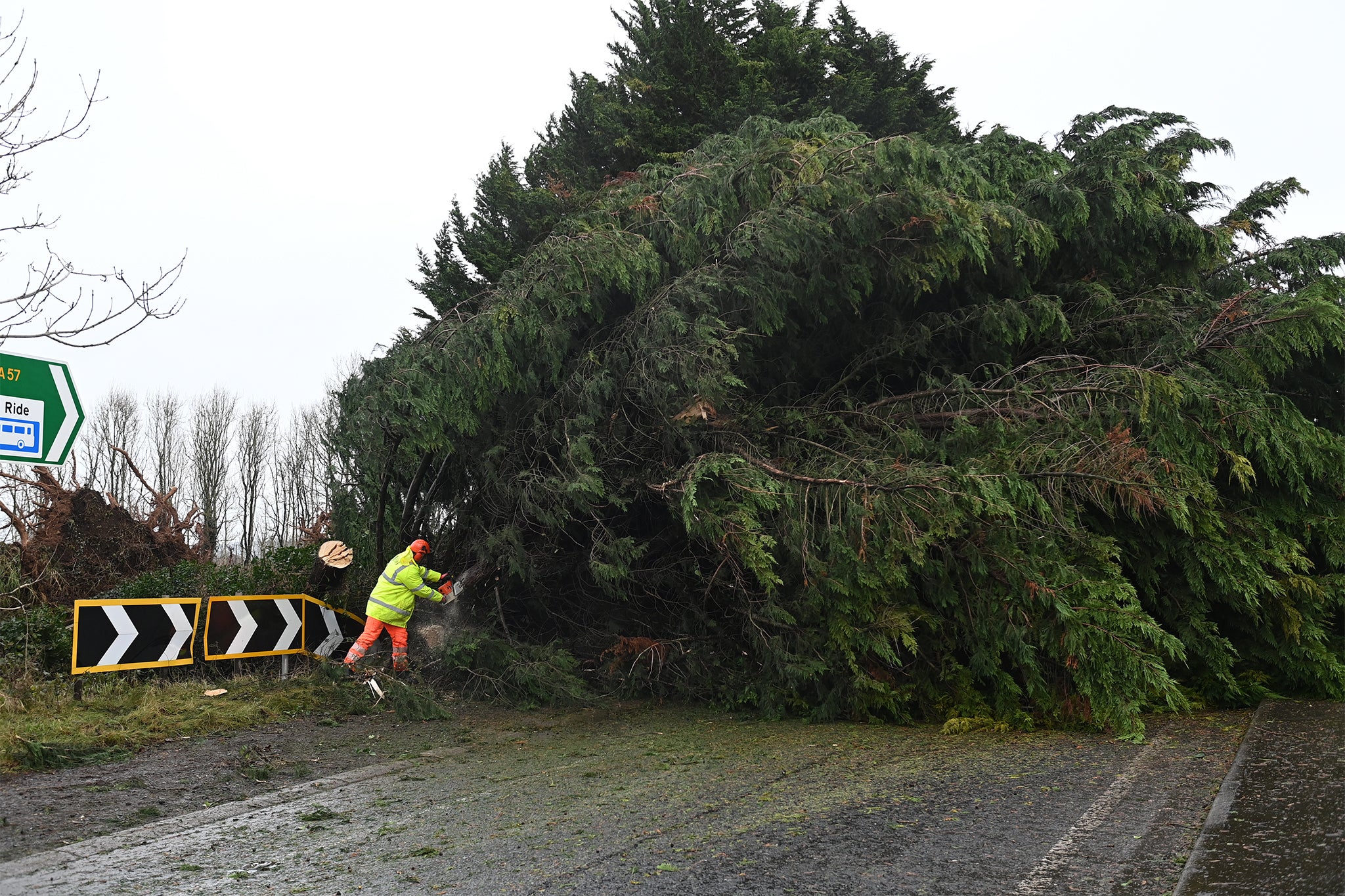 Workers cut a fallen tree blocking the slip road to the M1 to Belfast after it came down in the storm