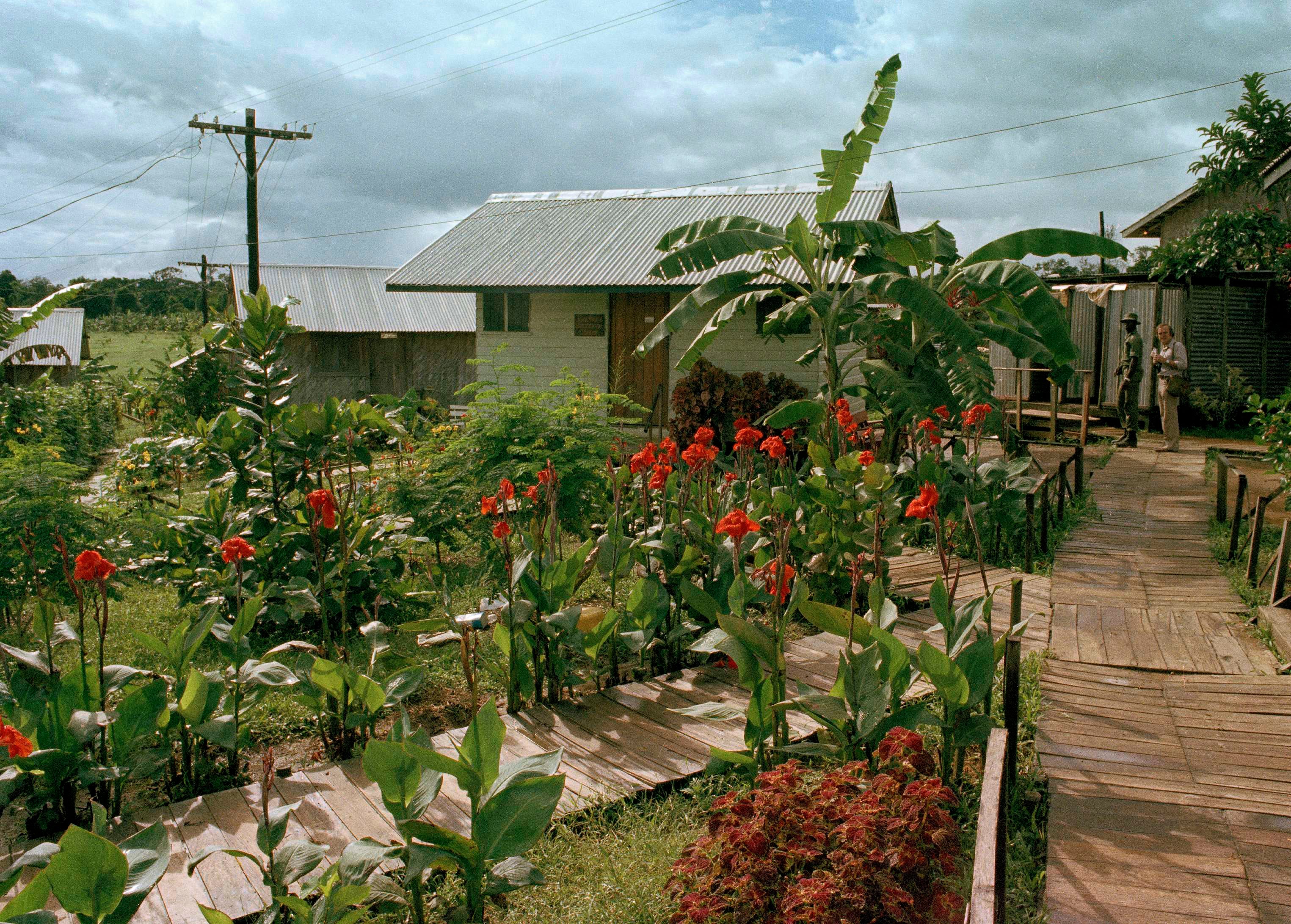 A view of the People’s Temple compound, Jonestown, Guyana, November 1978