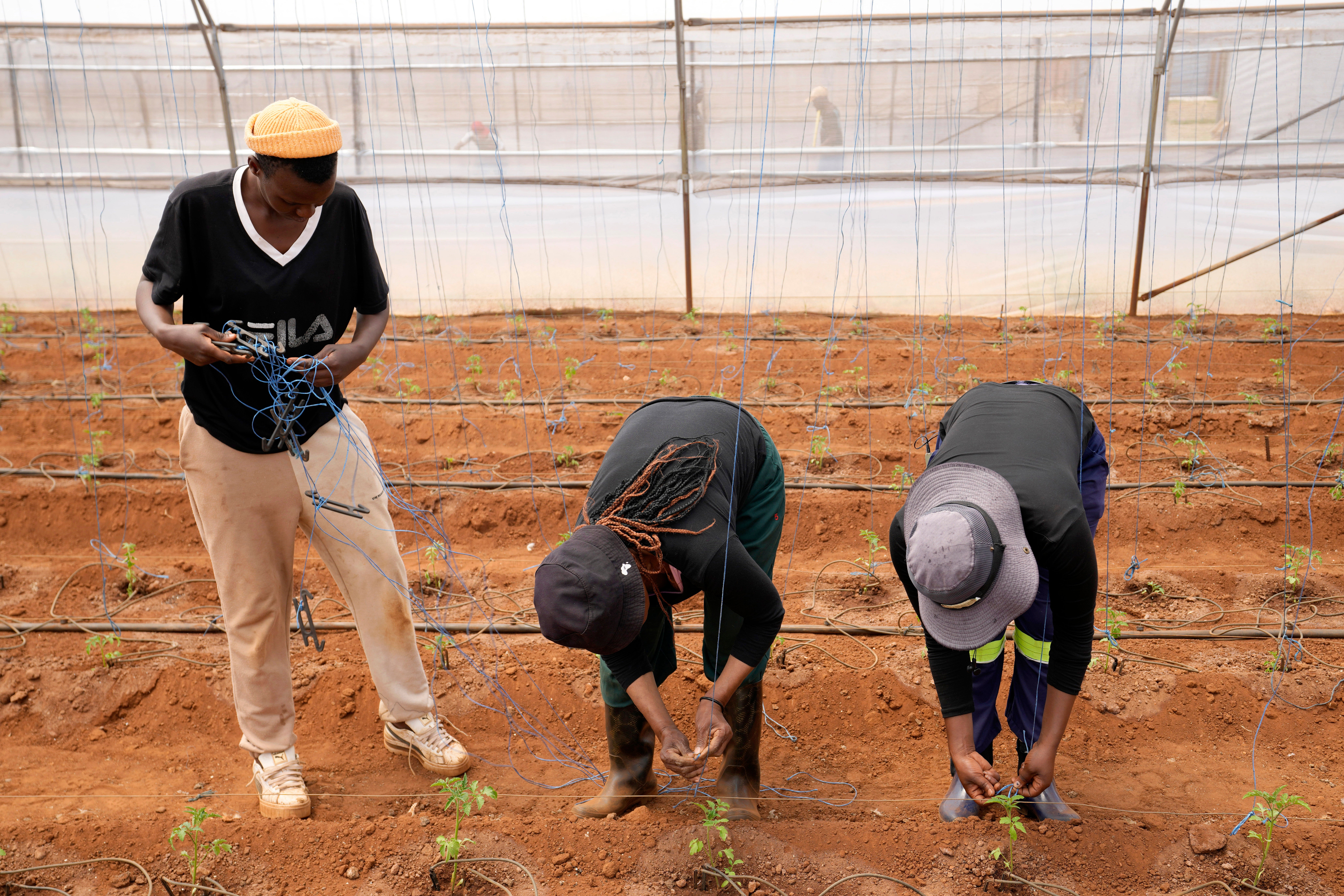 South Africa Deaf Farmers