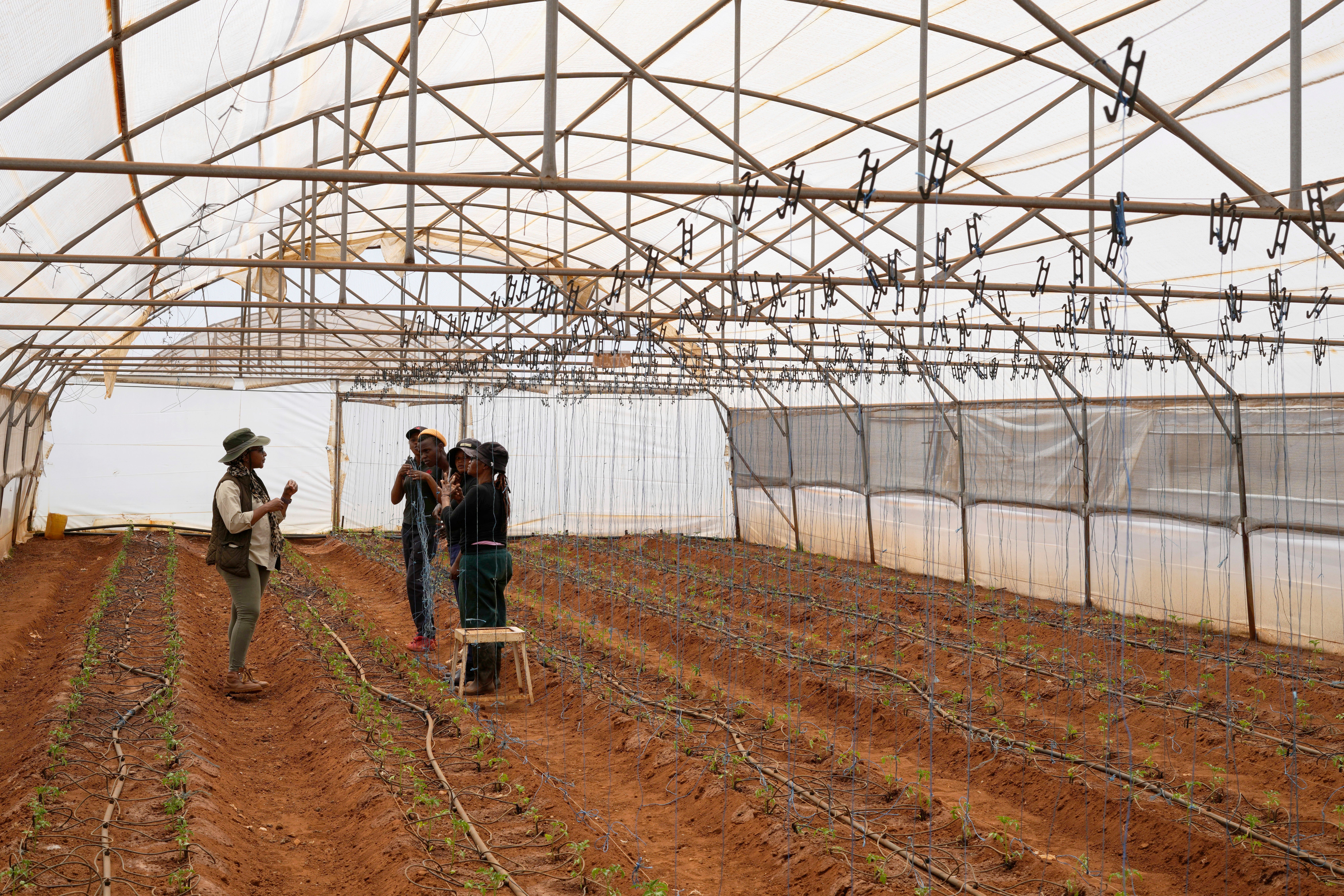 South Africa Deaf Farmers
