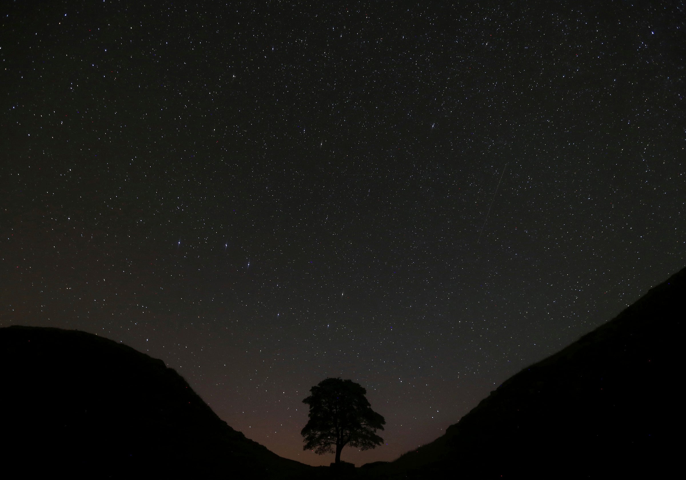 Britain-Sycamore Gap Tree Cut Down