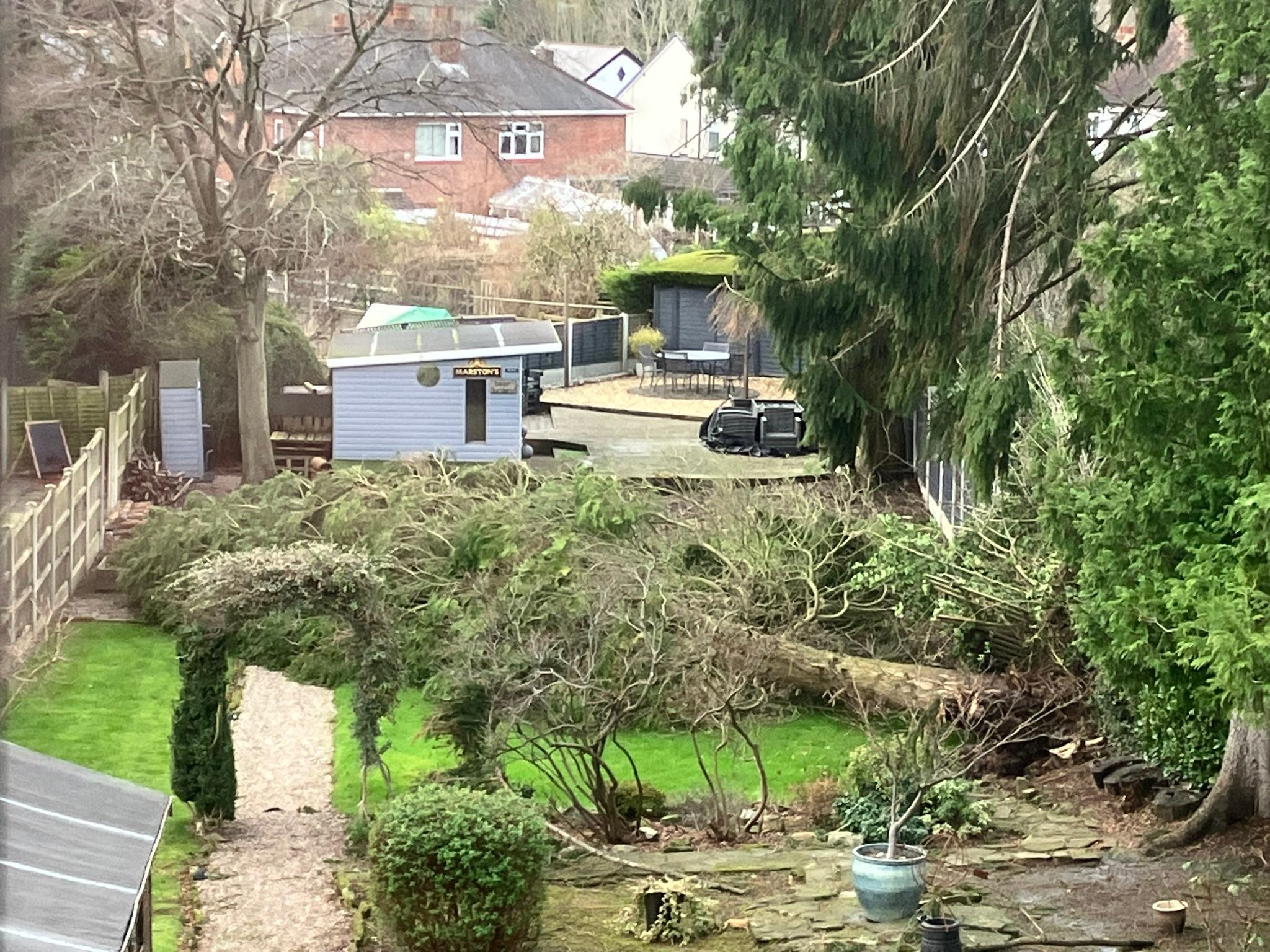 A fallen tree in Cradley Heath