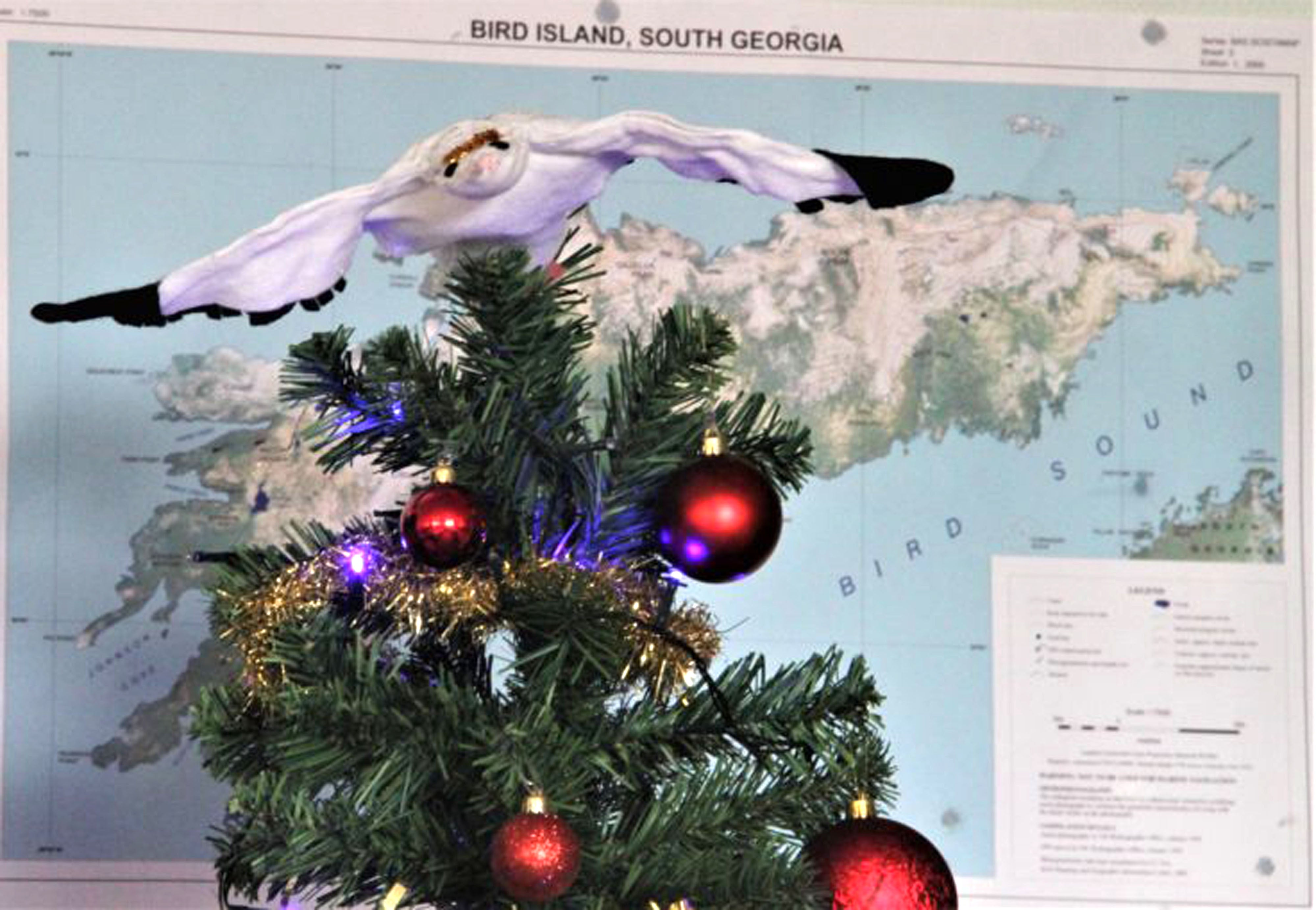 Christmas decorations at a British Antarctic Survey (BAS) research station