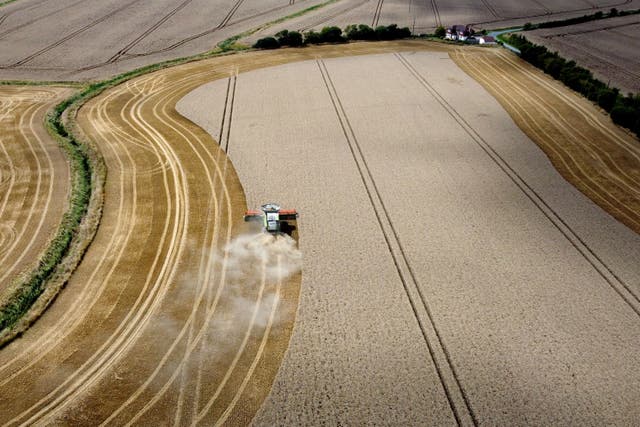 Extreme weather across the UK in recent months has contributed to one of the worst harvests on record (Gareth Fuller/PA)