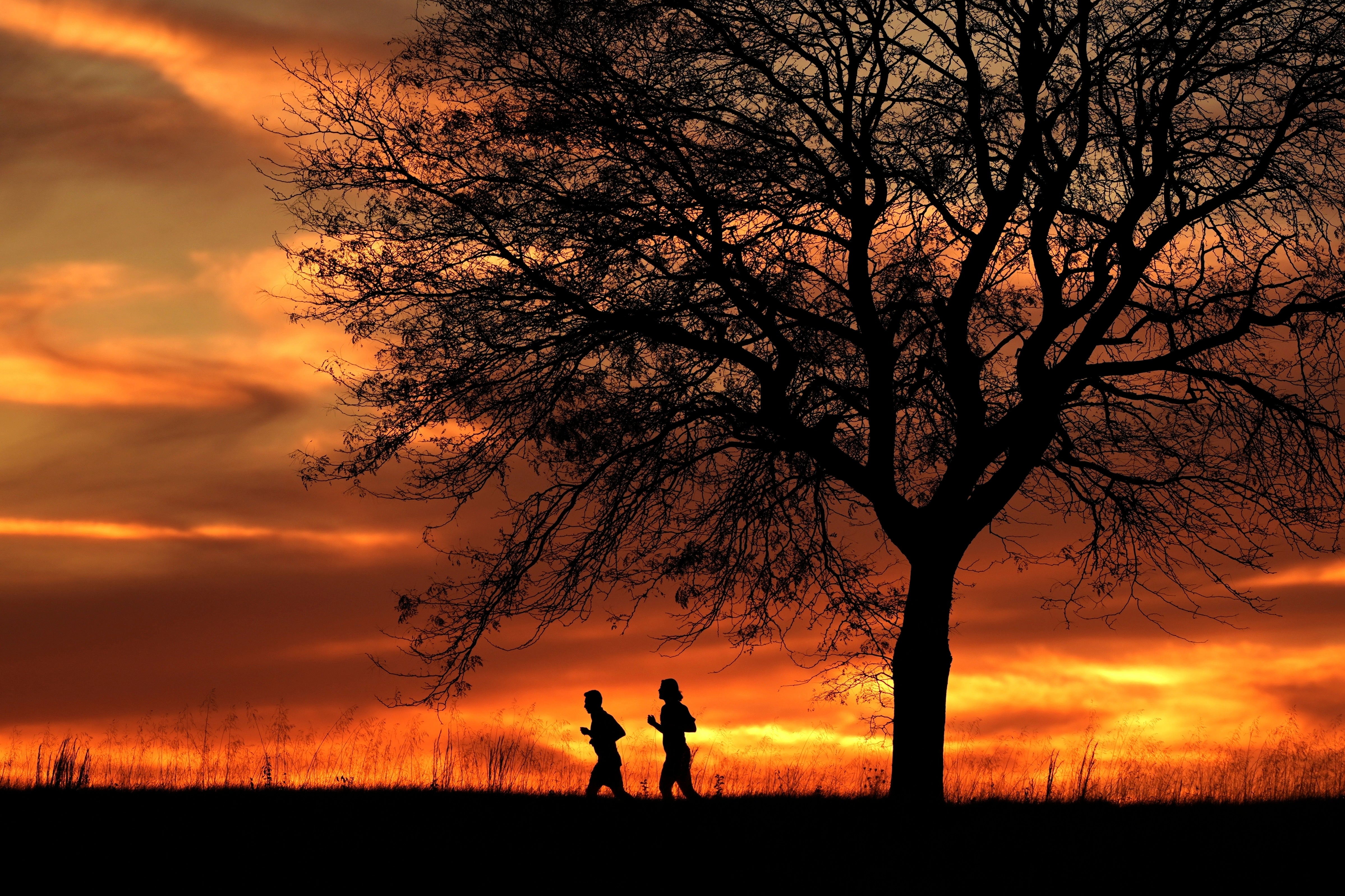 Climate November Hottest Year