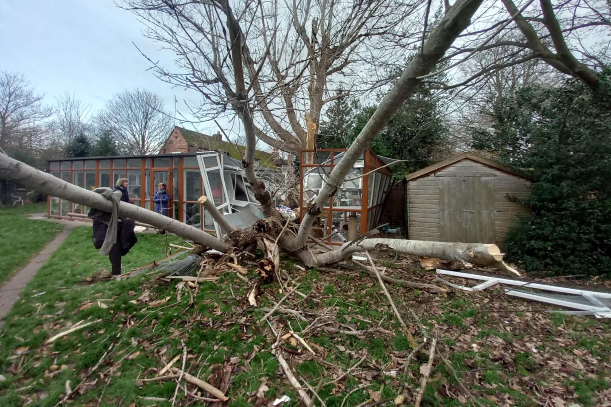 A fallen tree destroyed the cat pen (Avon Cat Rescue/PA)