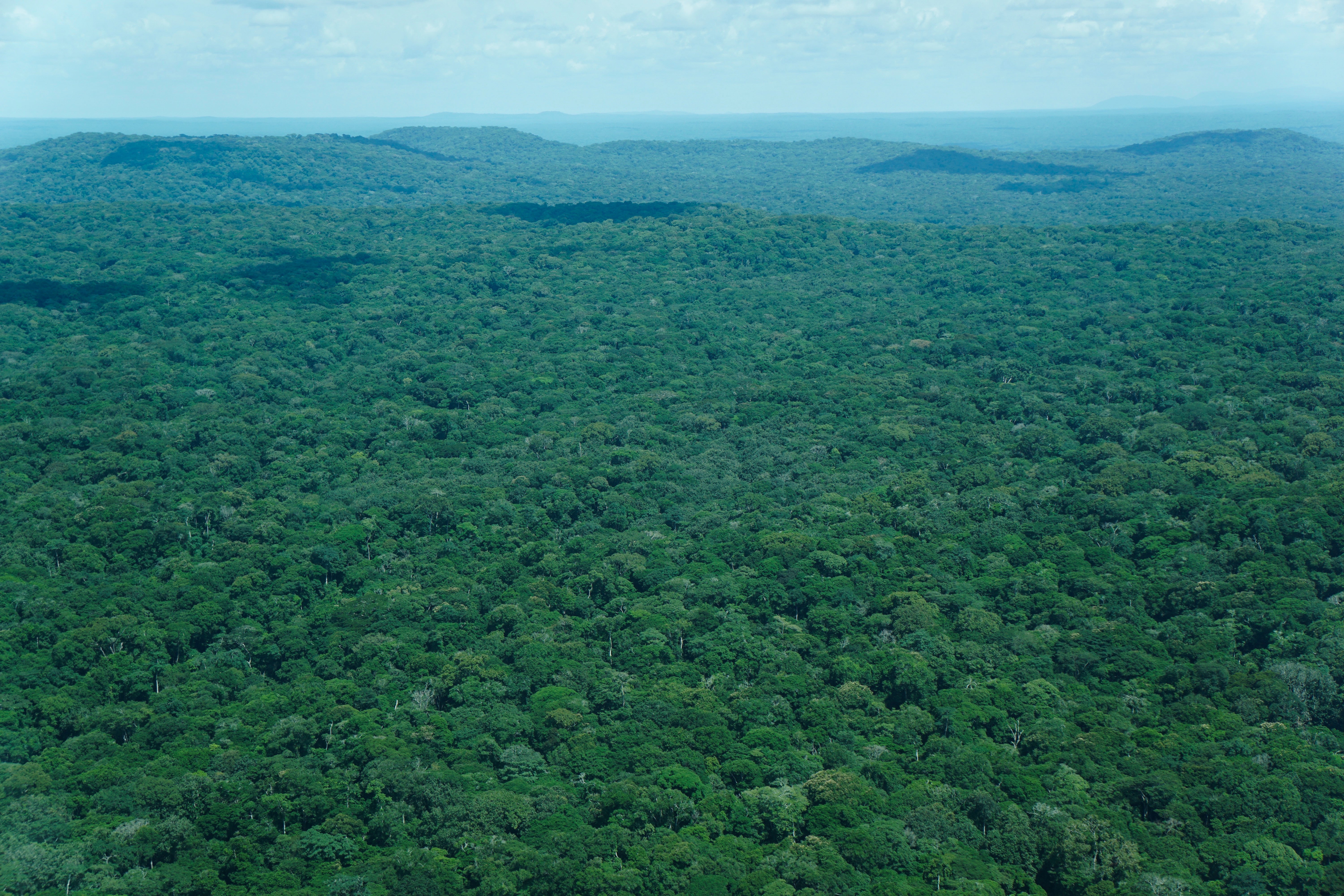 Congo Threatened Wildlife Reserve