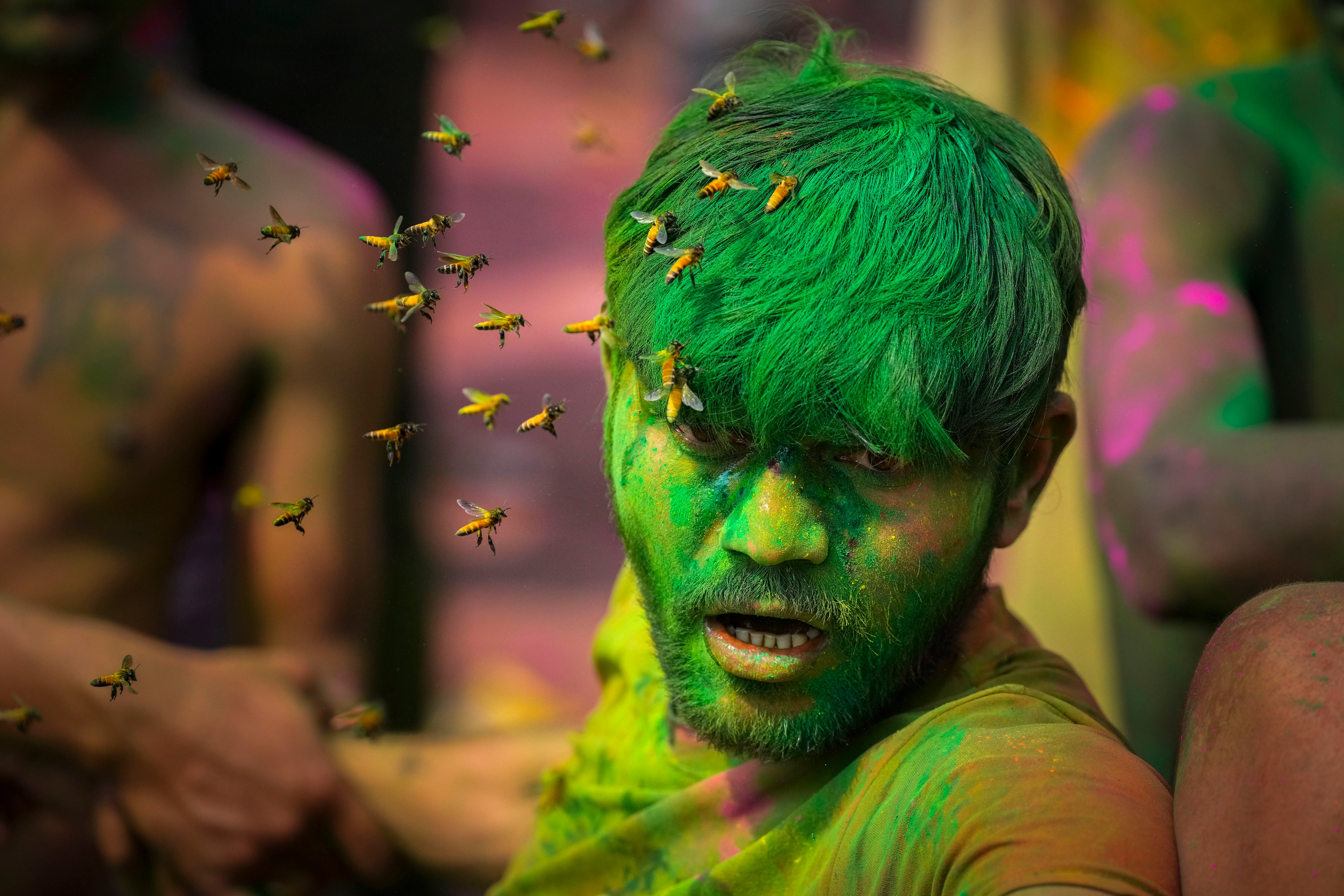 File. Bees swarm a man during a celebration of the Hindu festival of Holi in Guwahati, India, on 25 March 2024