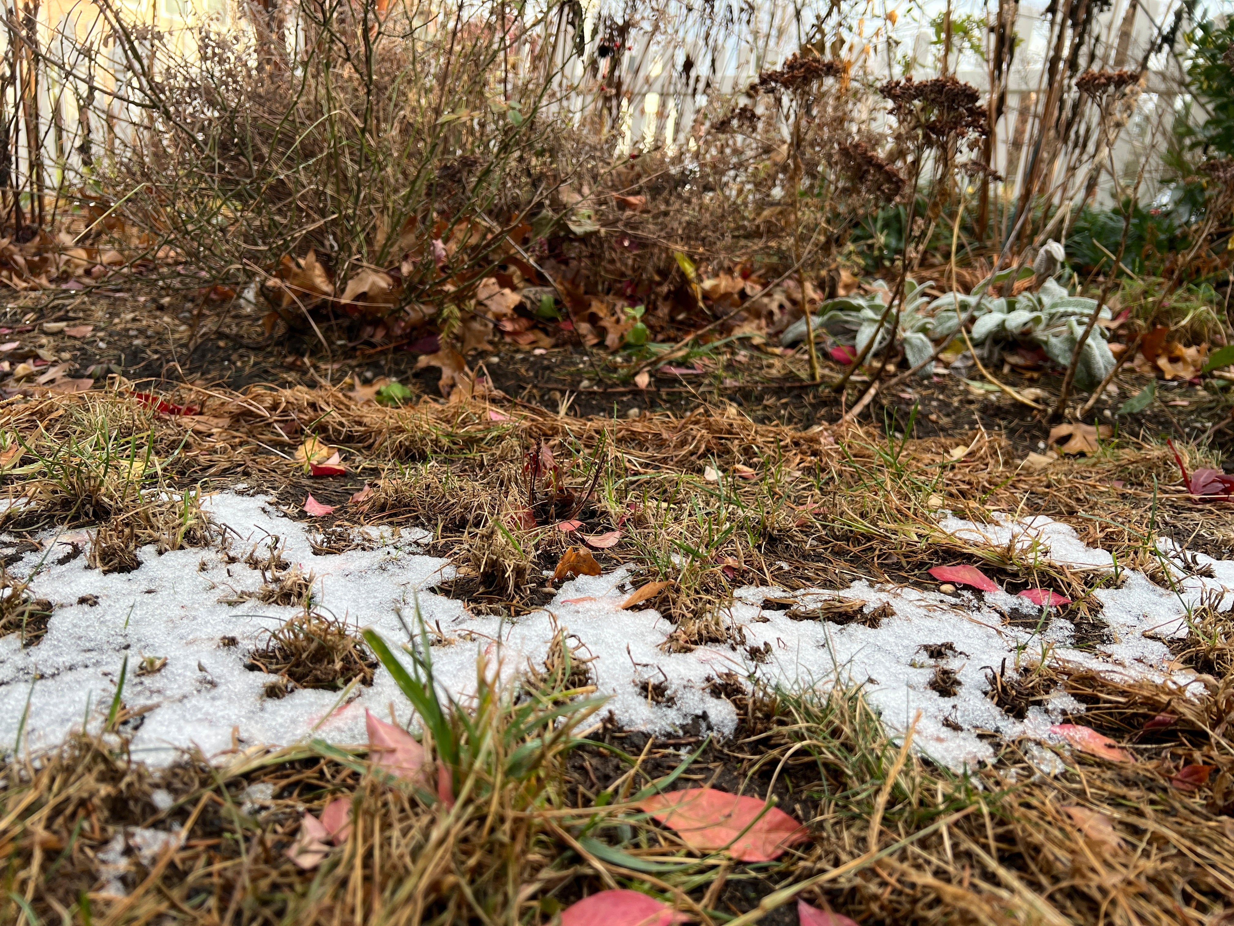 Gardening-Winter Chores