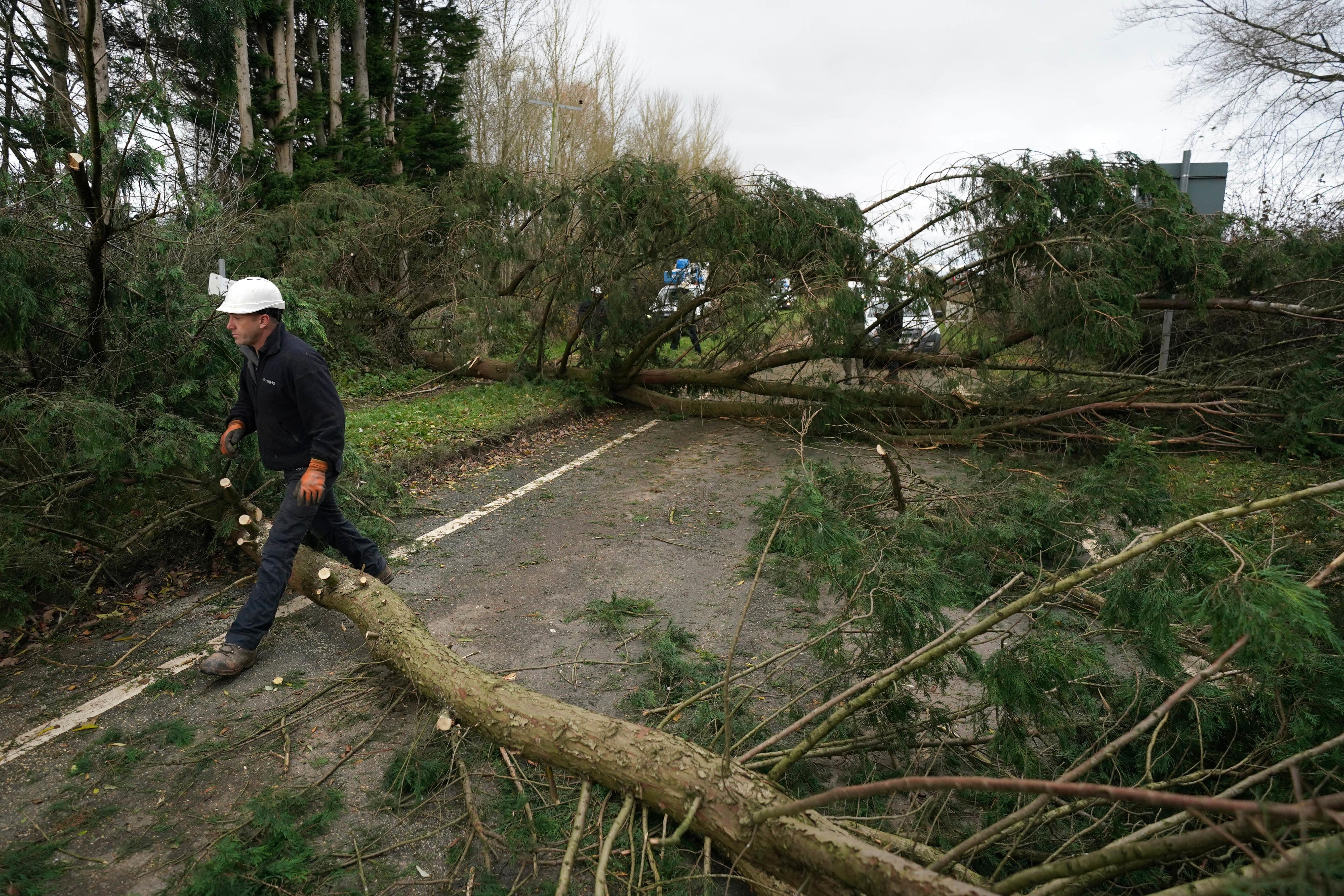 Fallen trees in Swainshill, Herefordshire after Storm Darragh (Jacob King/PA)