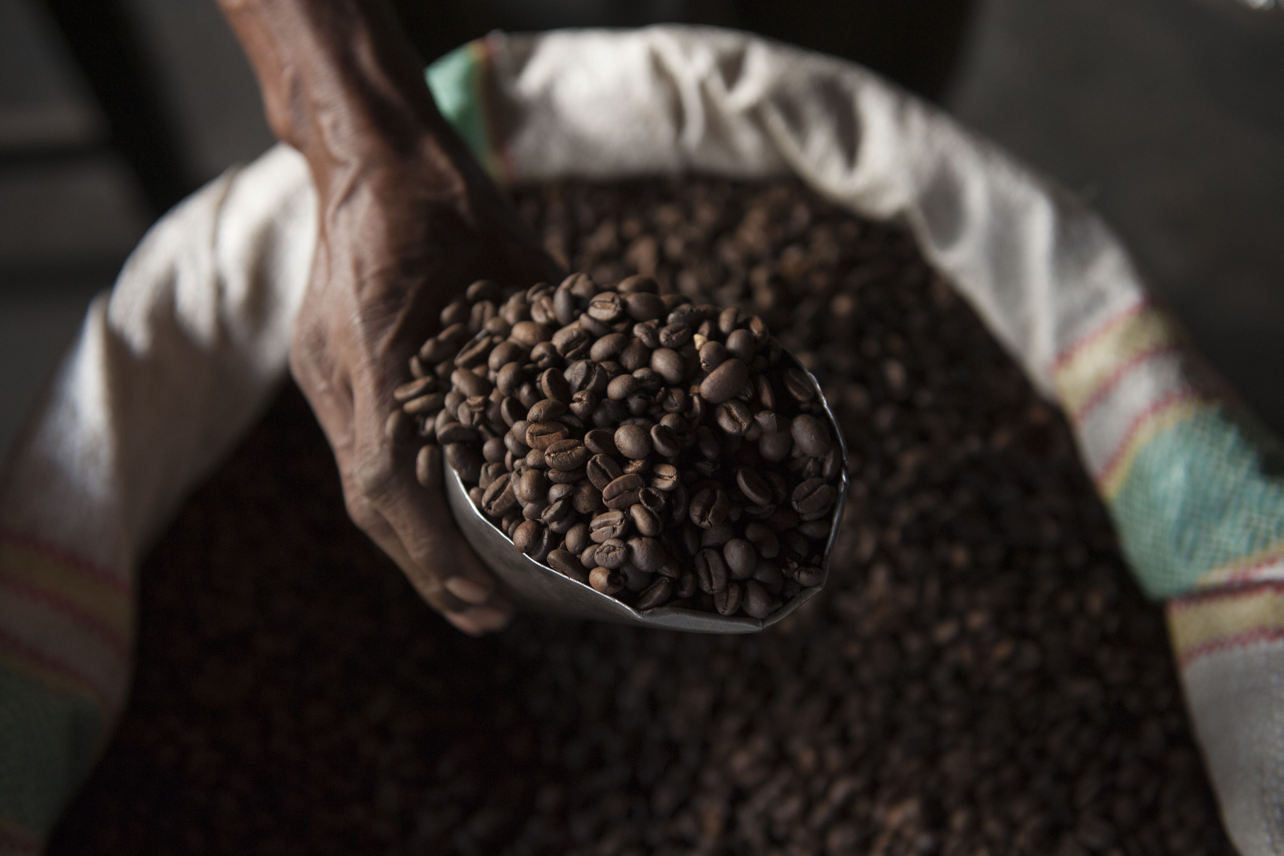 Coffee commodity prices have surged this year on the back of weather concerns (WWF/PA)