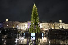 Fact check: Trafalgar Square Christmas tree appears similar to previous years